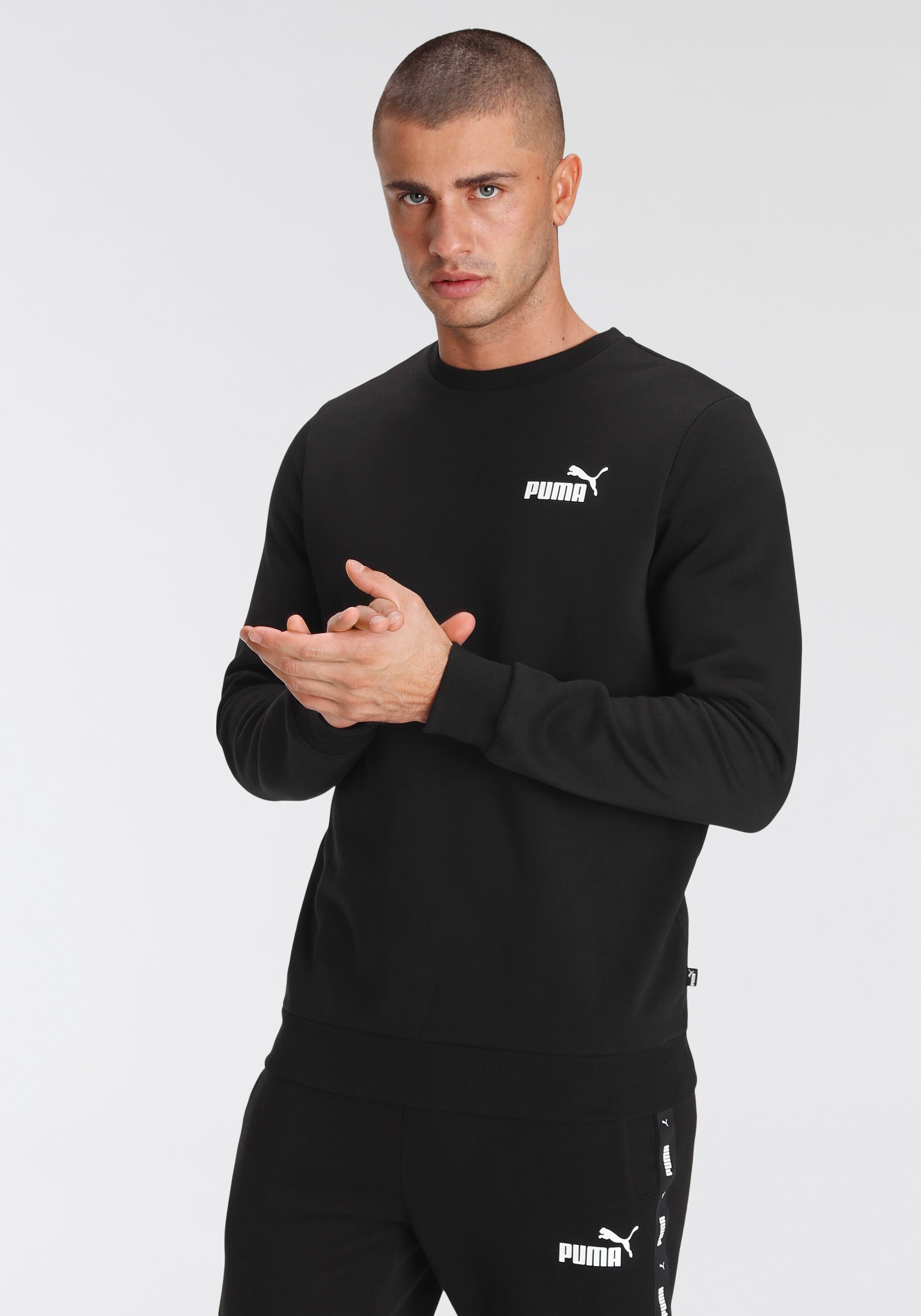 PUMA Langarmshirt "ESS SMALL LOGO CREW FL"