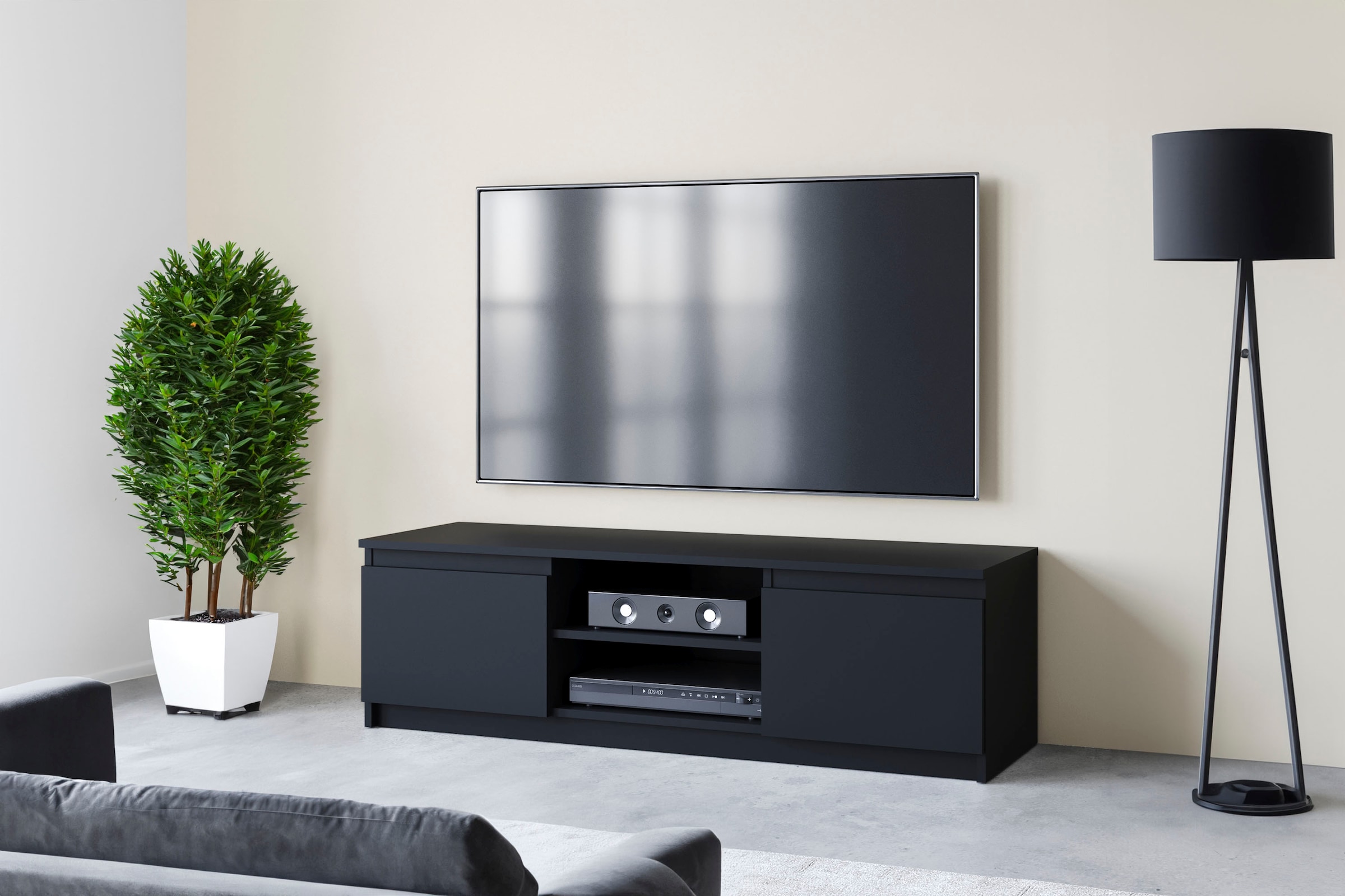 Home affaire Lowboard "DINGO" zeitloser TV-Schrank, TV-Board Breite 120 cm, grifflose Fernsehschrank