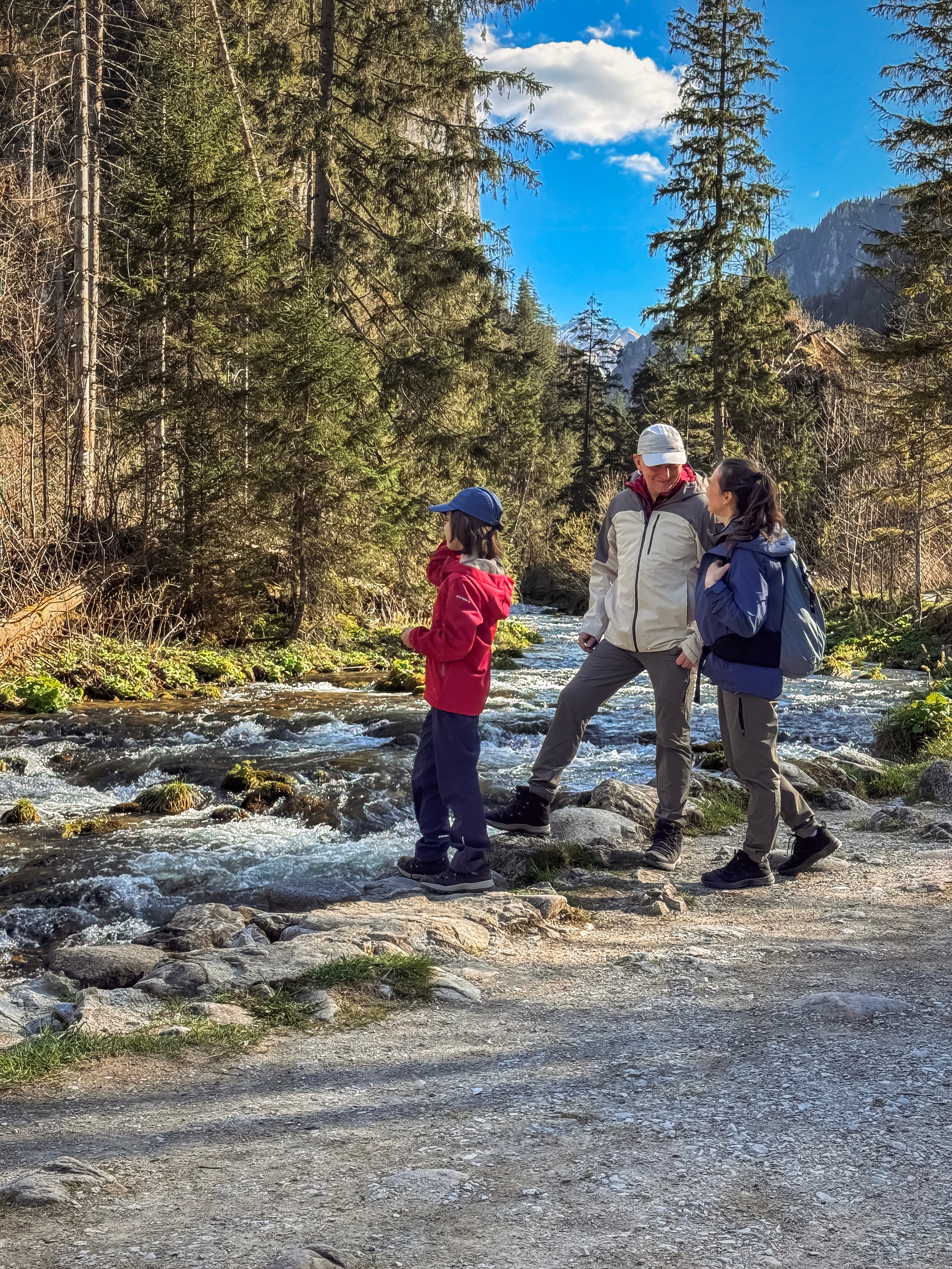 Icepeak Softshelljacke »KLINE JR« wasserabweisendes Obermaterial, atmungsaktiv