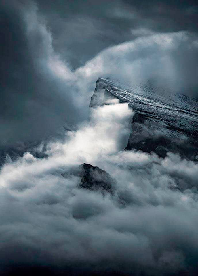 Komar Bild »Arrowhead« Natur 1 Stk. tlg. Wandbild zur Dekoration - ohne Rahmen