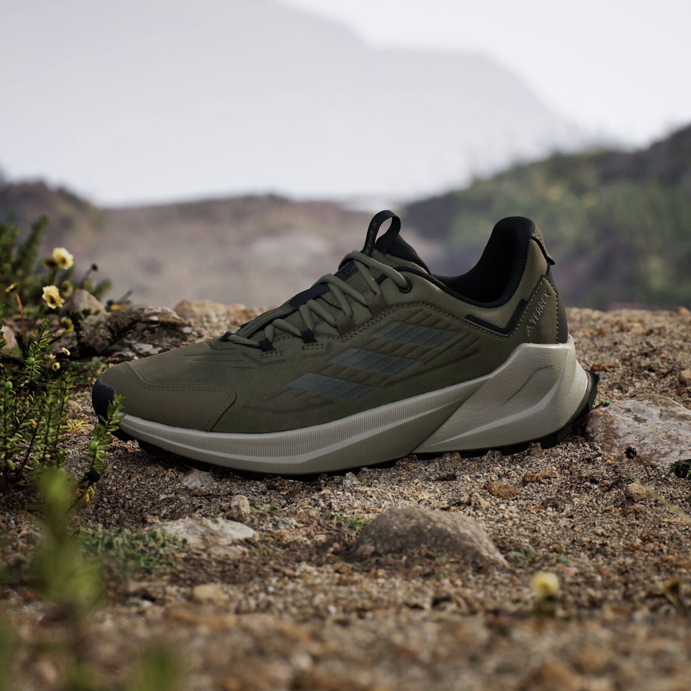 adidas TERREX Wanderschuh »TERREX TRAILMAKER 2.0 LEATHER«, aus Leder