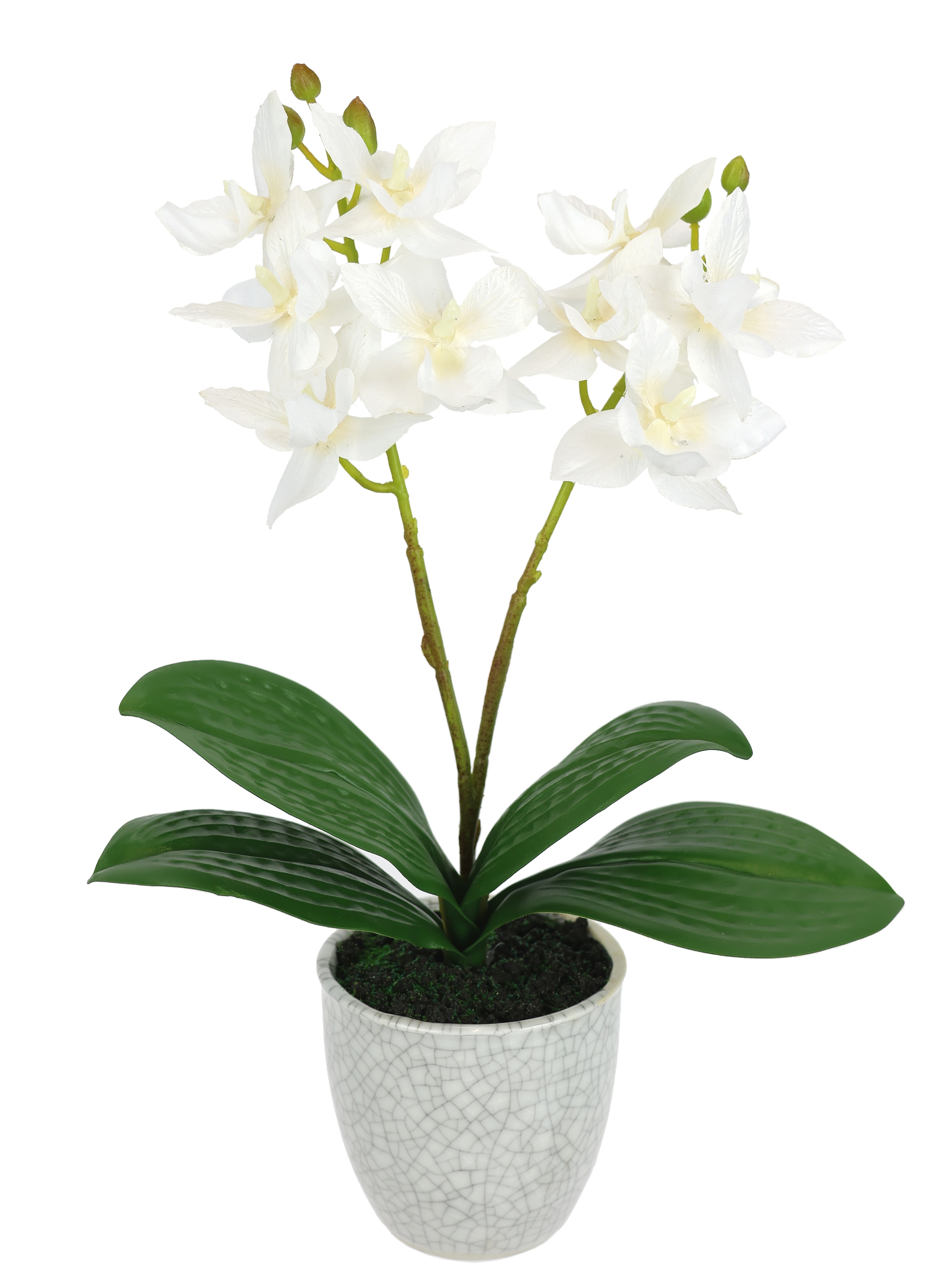 Kunstorchidee I.GE.A., B:14cm H:30cm L:14cmweiß, Polyester, Kunstpflanzen, "Künstliche Orchidee mit Topf", Dekoblume im Keramiktopf mit Rissoptik