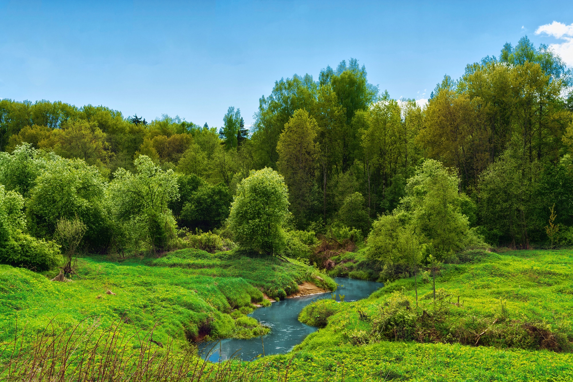 Papermoon Fototapete "FLUSS IM WALD-BAUM NATUR DSCHUNGEL SONNE WEG WASSERFALL"