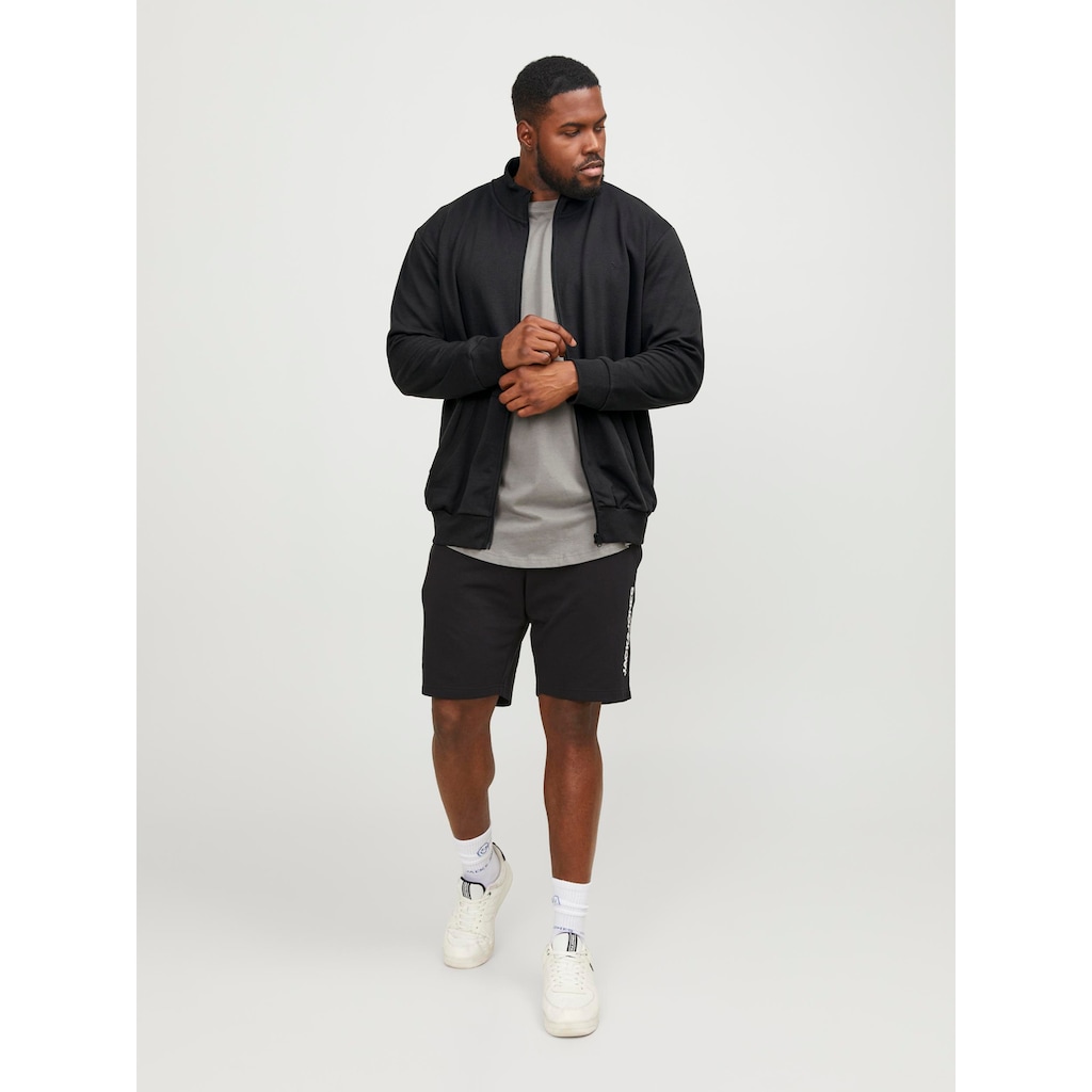 Jack & Jones PlusSize Sweatshirt »JJEPAULOS SWEAT ZIP NOOS PLS«