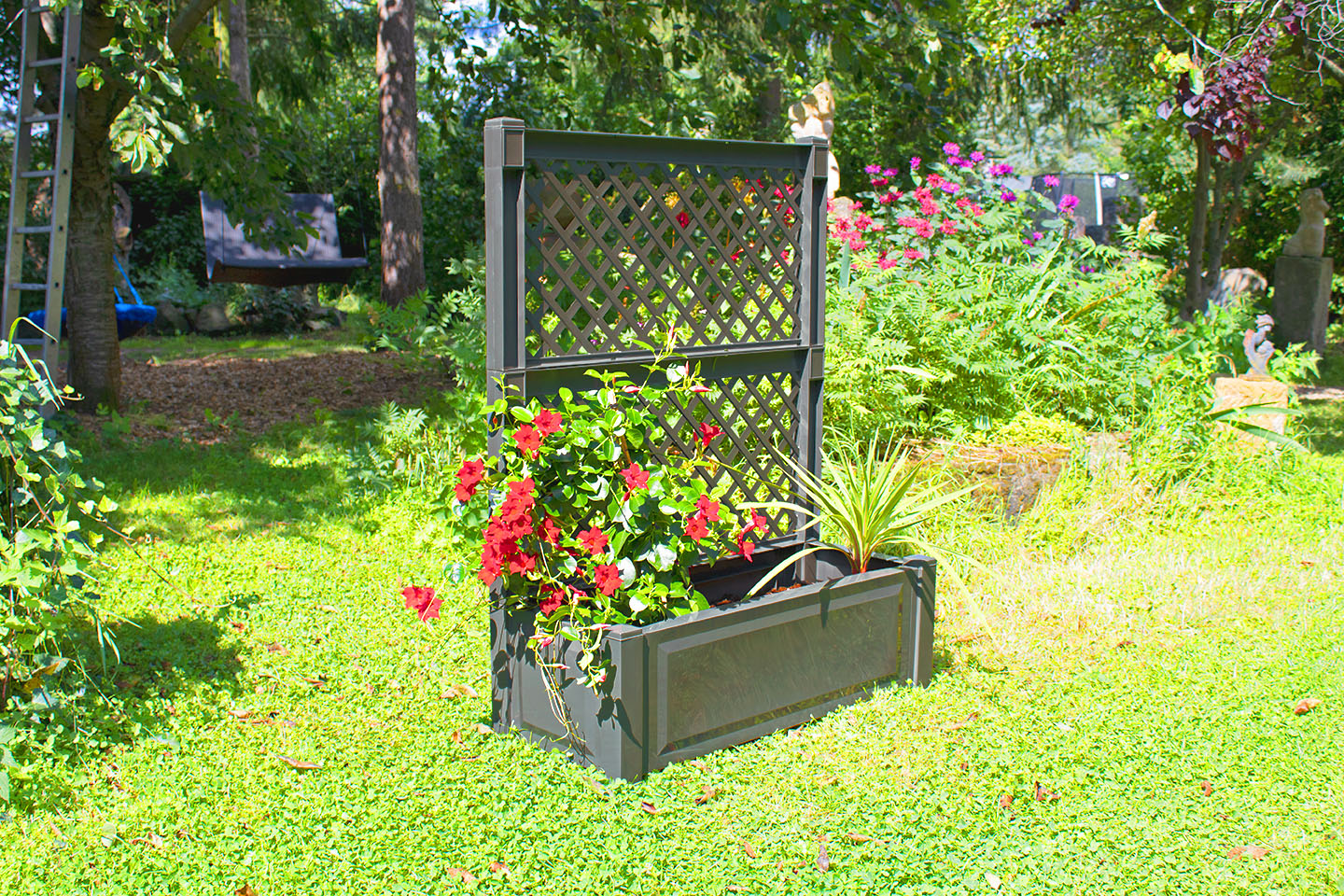 Spalier, Pflanzkasten groß 100 cm mit Spalier