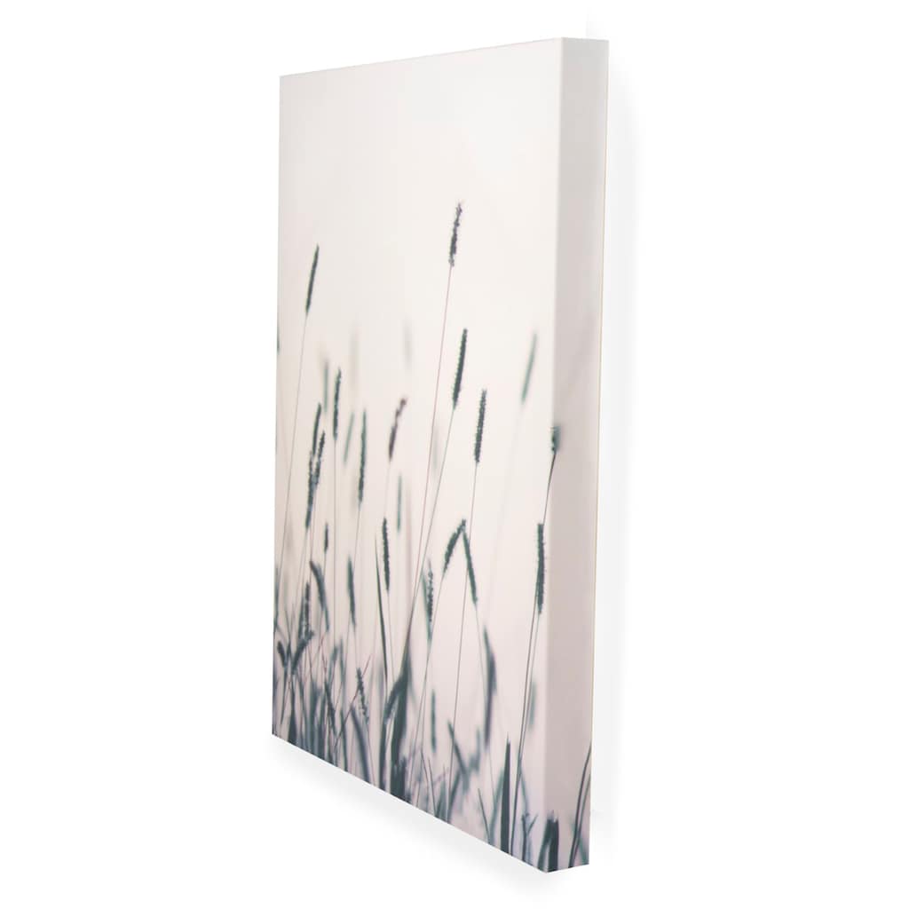 Art for the home Leinwandbild »Soft Temptation Ruhe«, Natur, (Set, 5 St.)