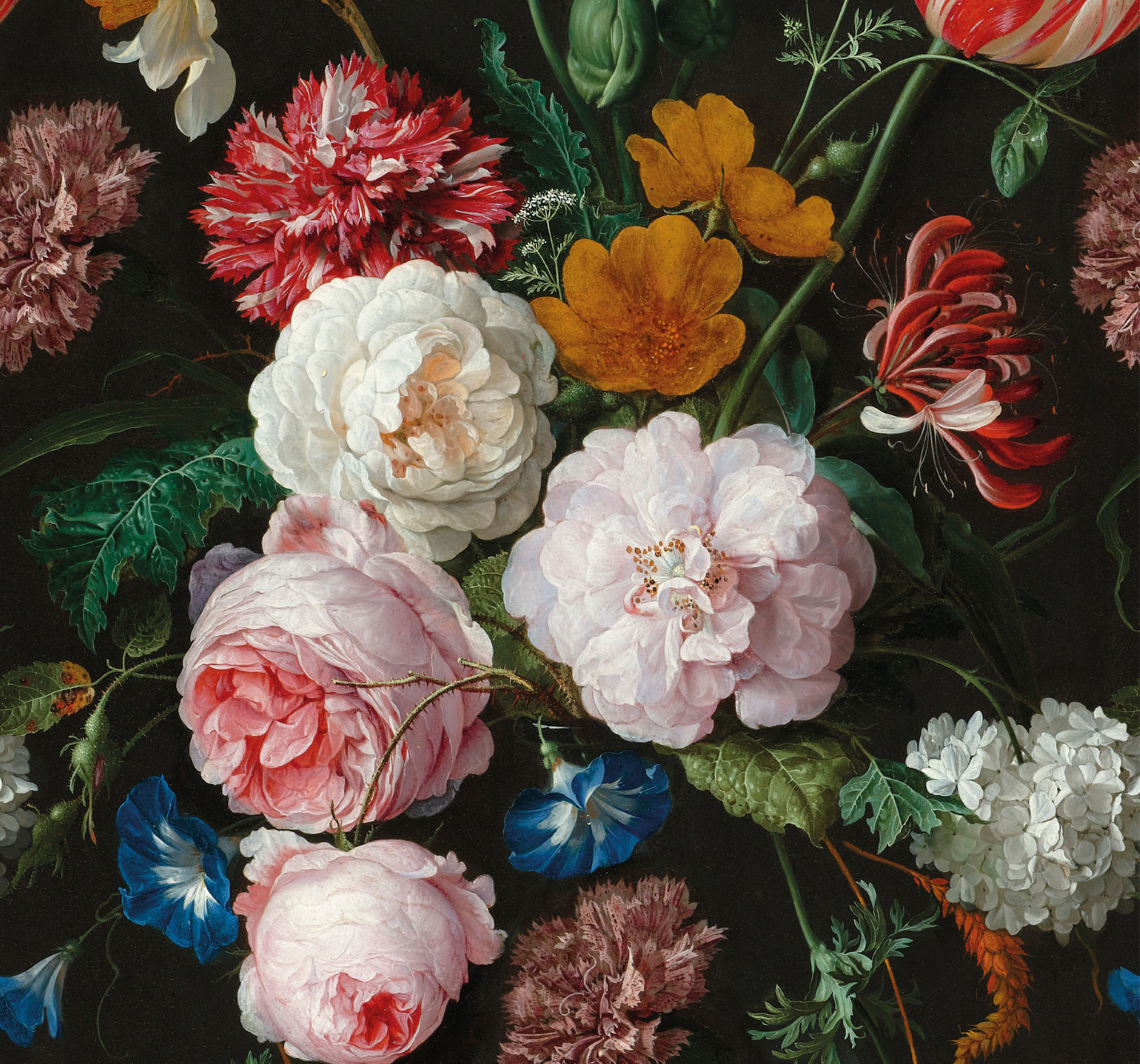 Art for the home Fototapete "Nicky Blumen" botanisch glatt Nicky Blumen 280x300 cm