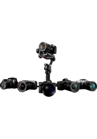 Gimbal »RS3«