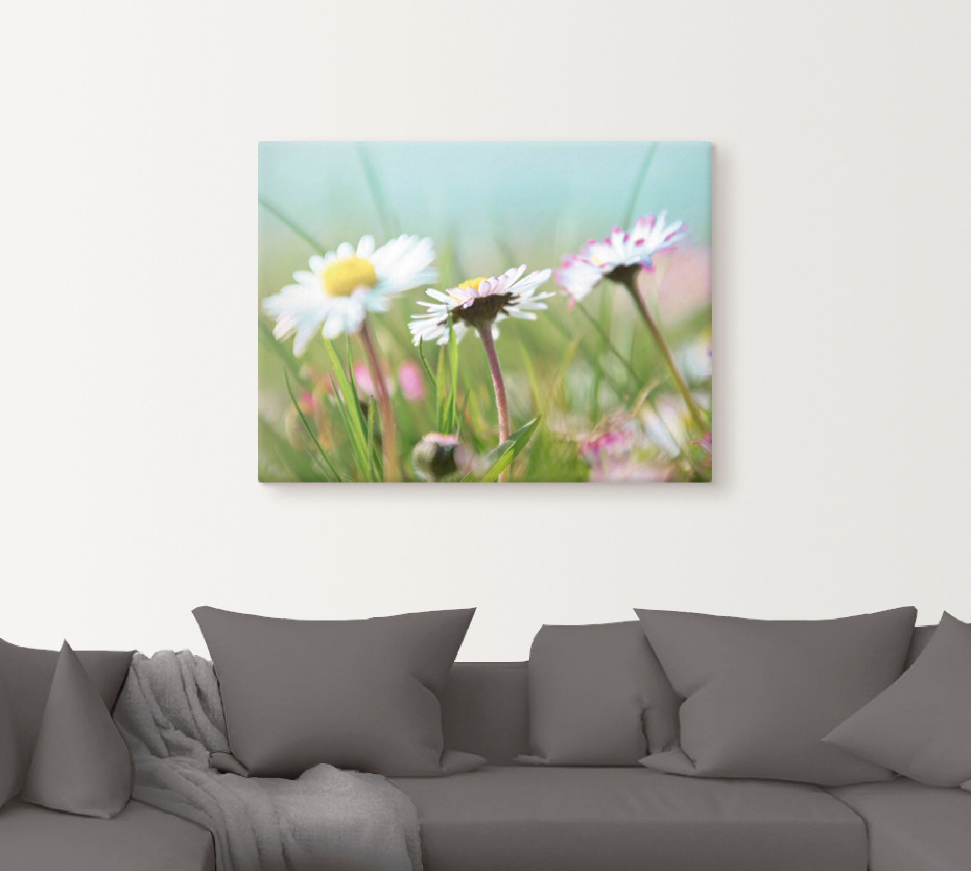 Artland Leinwandbild "Gänseblümchen Romantik", Blumen, (1 St.), auf Keilrah günstig online kaufen