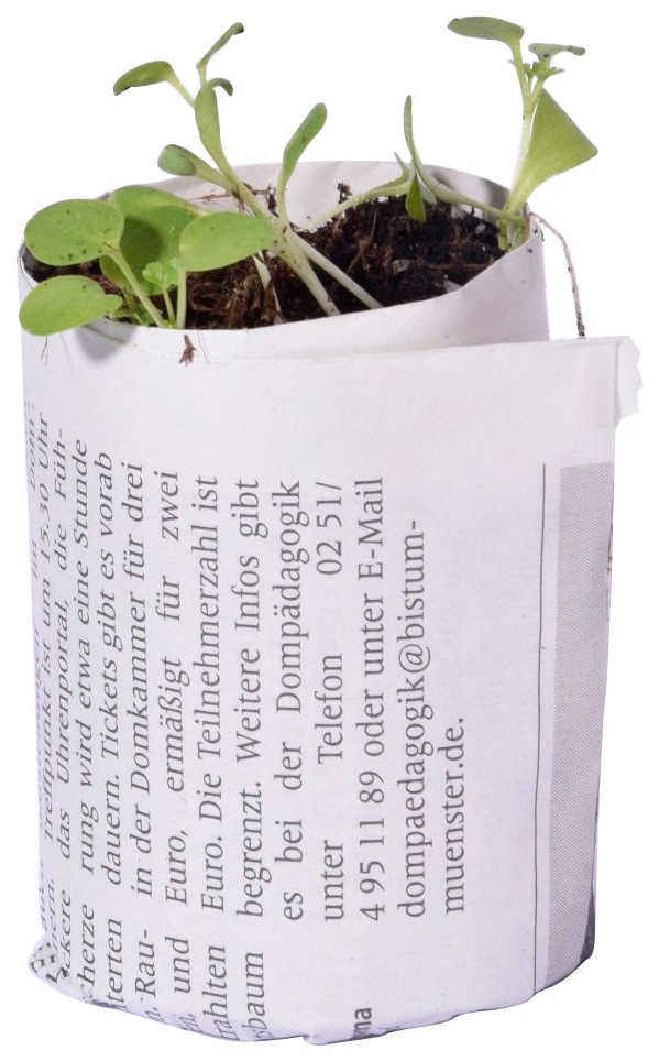 dobar Anzuchttopf 3 Stk., ØxH: 7x16, 9x18 und 11x20 cm