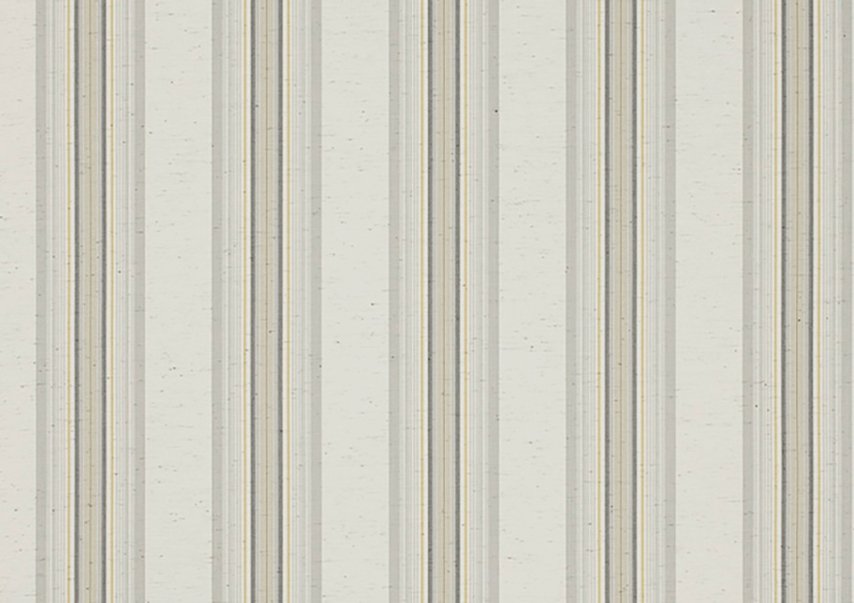 Wismar Kassettenmarkise "Classic S-Compact", Breite: 550 cm, Ausfall: 300 c günstig online kaufen