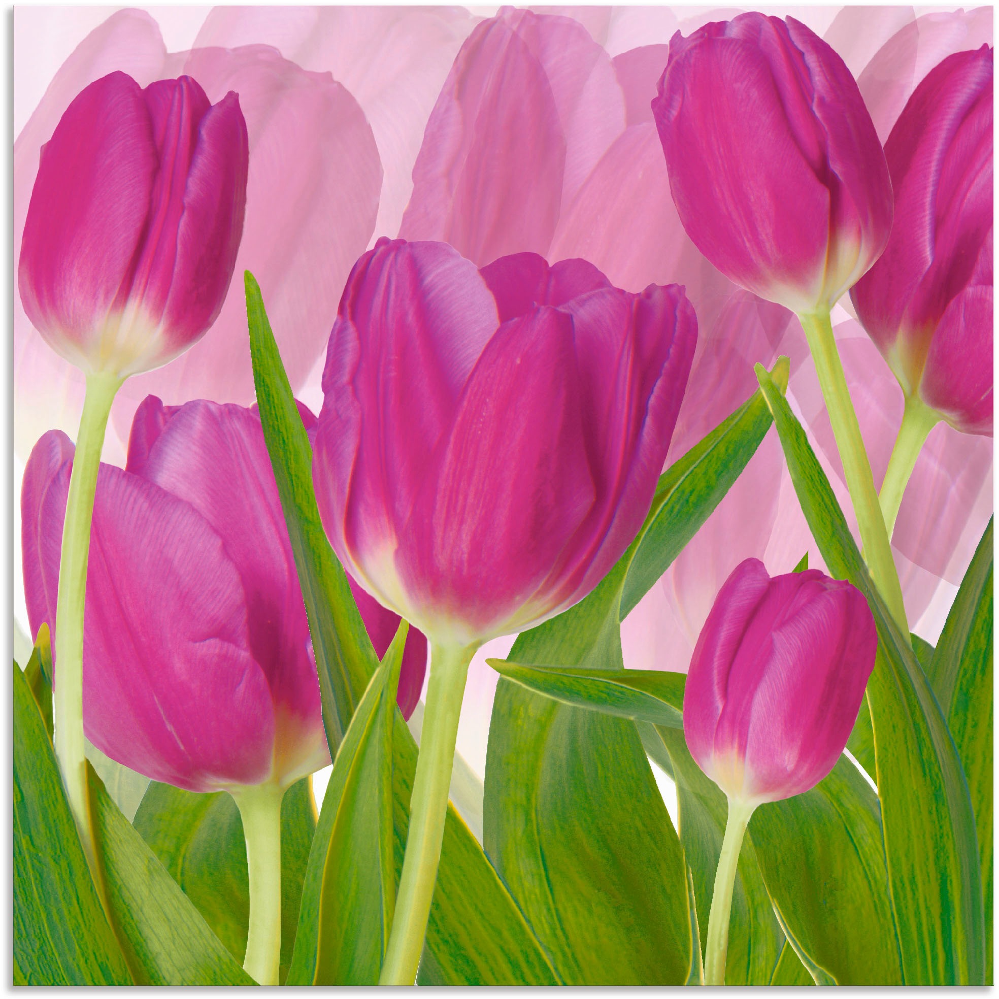 Artland Wandbild "Tulpenfeld lila", Blumen, (1 St.), als Alubild, Outdoorbi günstig online kaufen