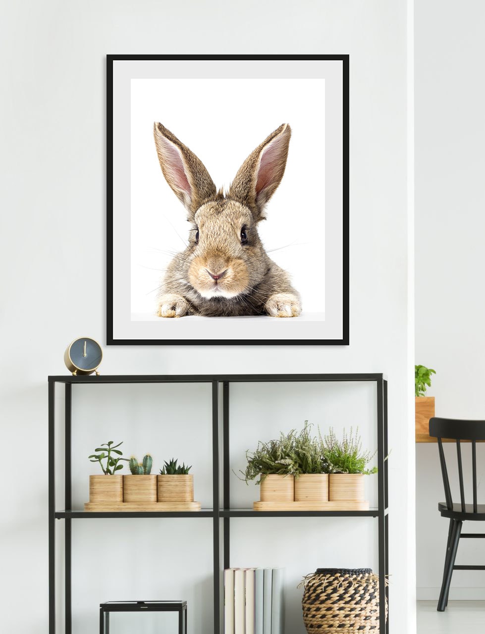 queence Bild "Joona" Foto Haustiere Kunst 1 Stk. tlg. HD Premium Poster-Druck inkl. Holzrahmen