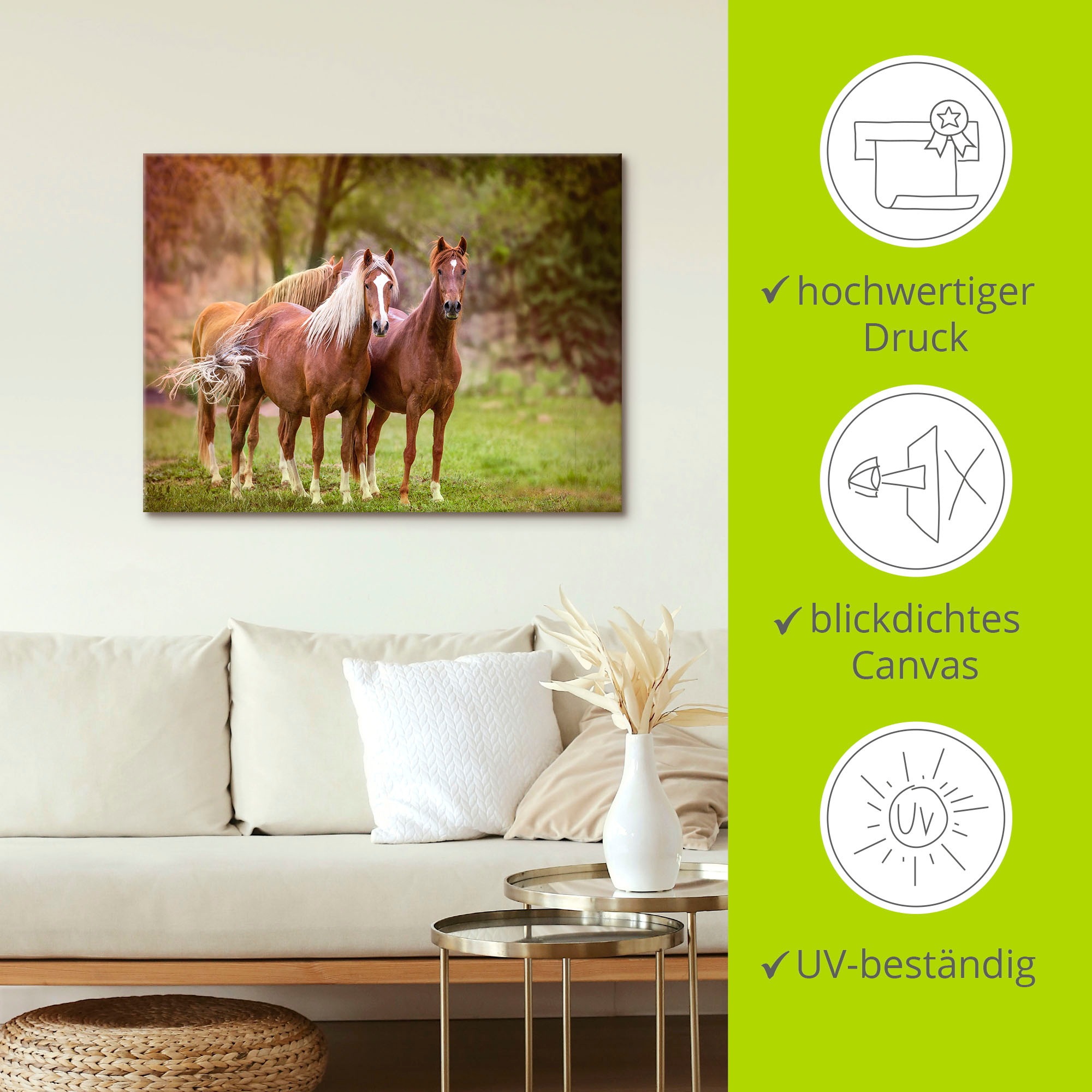 Artland Wandbild »Pferde in den Feldern I«, Haustiere, (1 St.), als Leinwandbild, Poster, Wandaufkleber in verschied. Größen