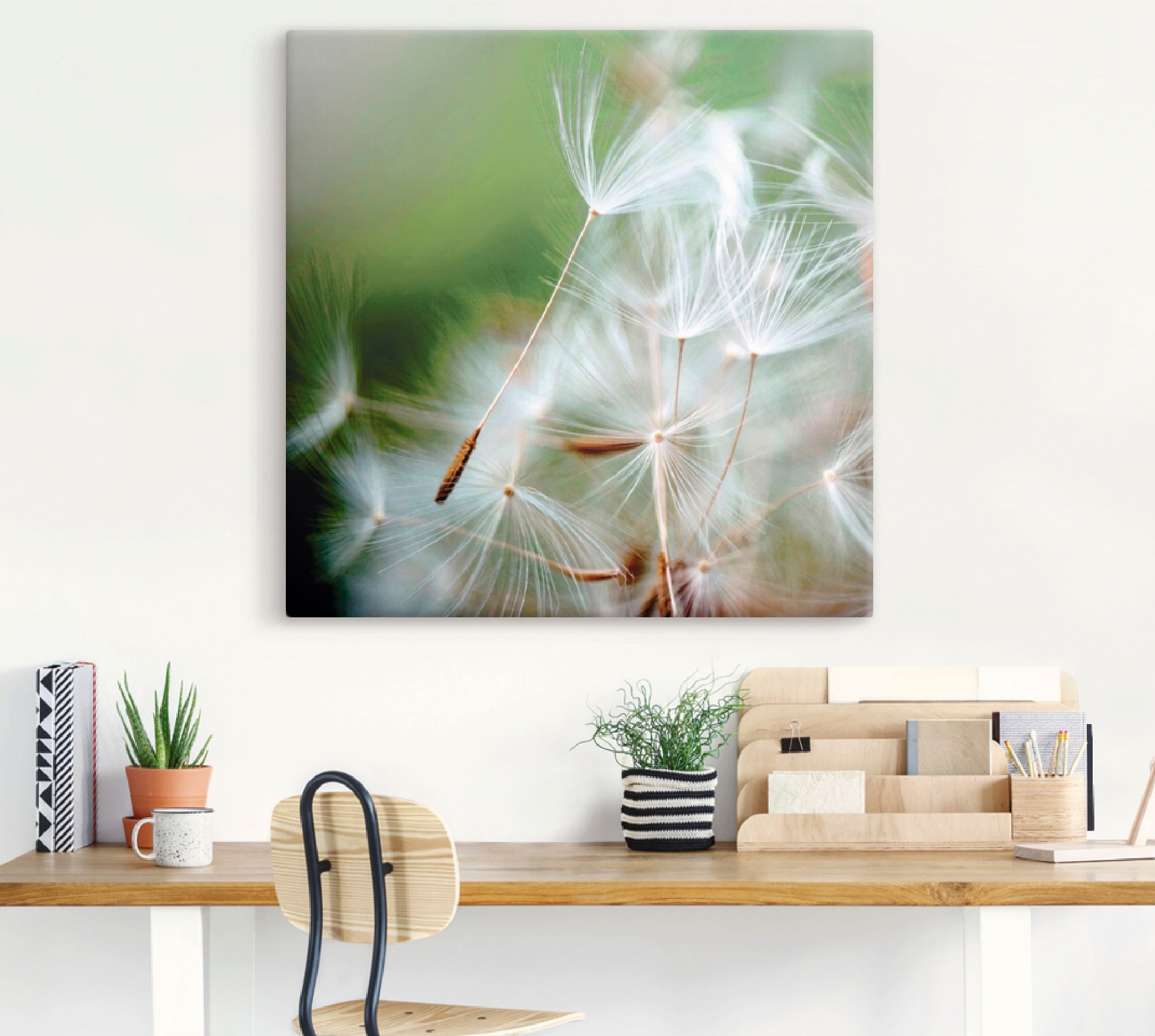 Artland Alu-Dibond-Druck »Pusteblume kuschelweich«, Blumen, (1 St.), für Innen- und Außenbereich geeignet, Outdoorbild
