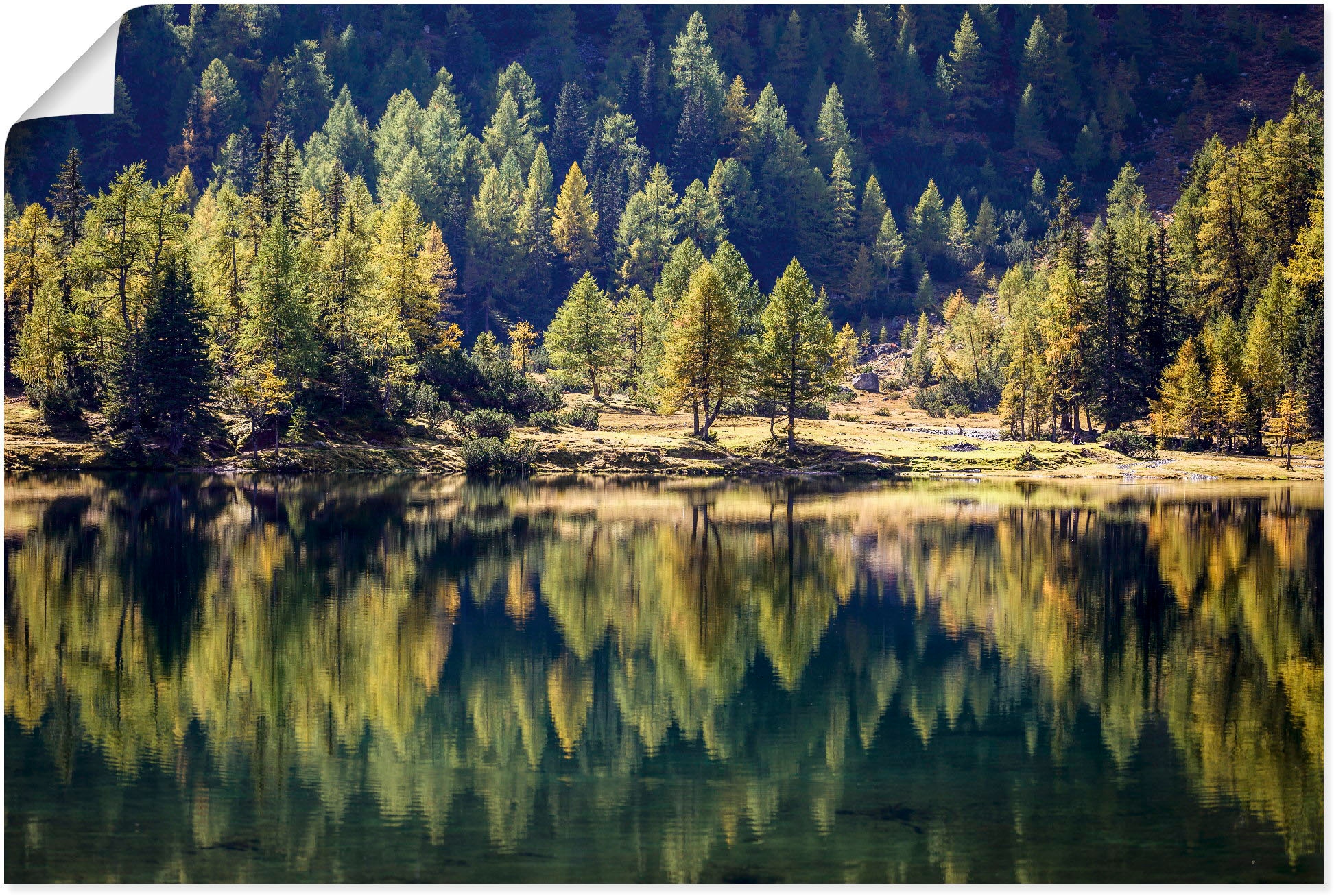 Poster »Herbstwald am Duisitzkarsee«, Waldbilder, (1 St.), als Alubild, Leinwandbild,...