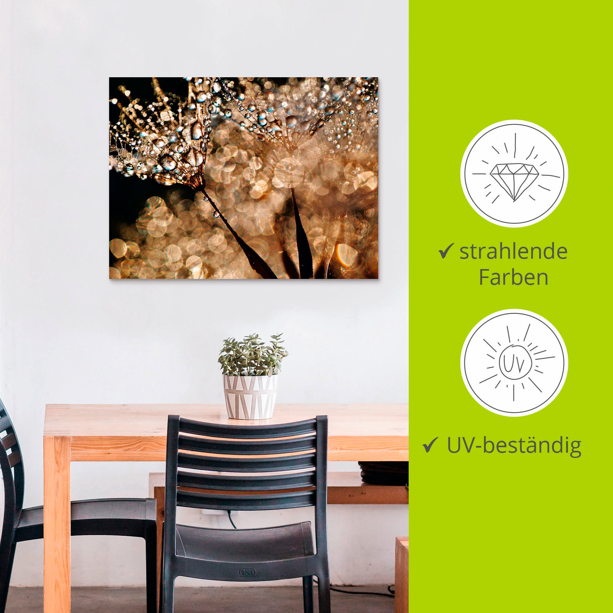 Artland Wandbild »Pusteblume Goldschimmer«, Blumen, (1 St.), als Alubild, Outdoorbild, Leinwandbild, Poster, Wandaufkleber