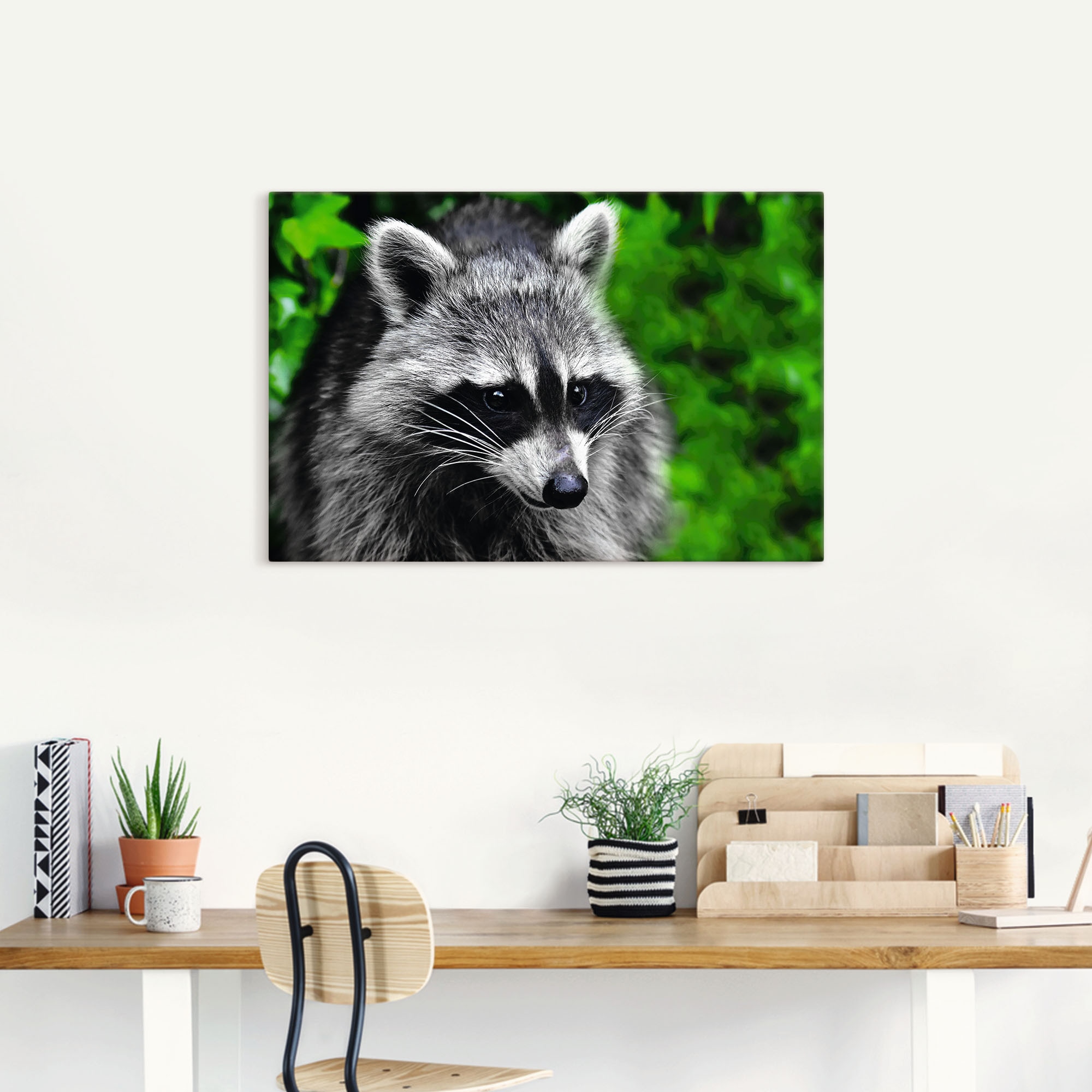 Artland Alu-Dibond-Druck »Waschbär«, Wald, (1 St.), für Innen- und Außenbereich geeignet, Outdoorbild