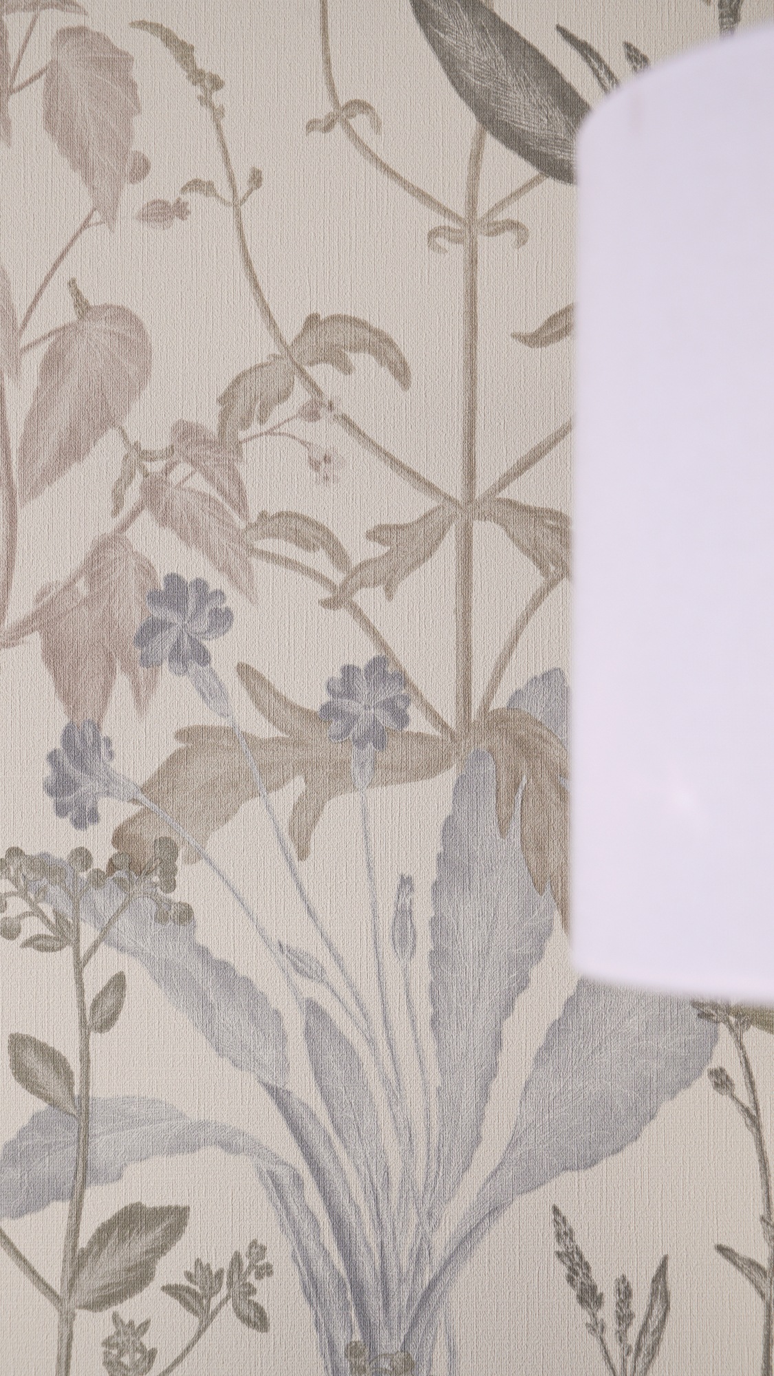 living walls Vliestapete »Vibes & Styles Elodie – Maison Botanique« Motiv