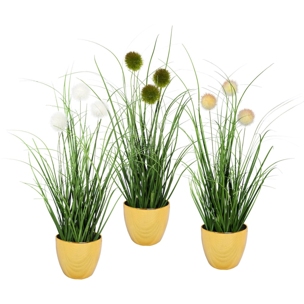Leonique Kunstgras »Grasbusch mit Kletten«, (Set, 3 St.), Kunstpflanze, Gras, im Topf, 3er-Set