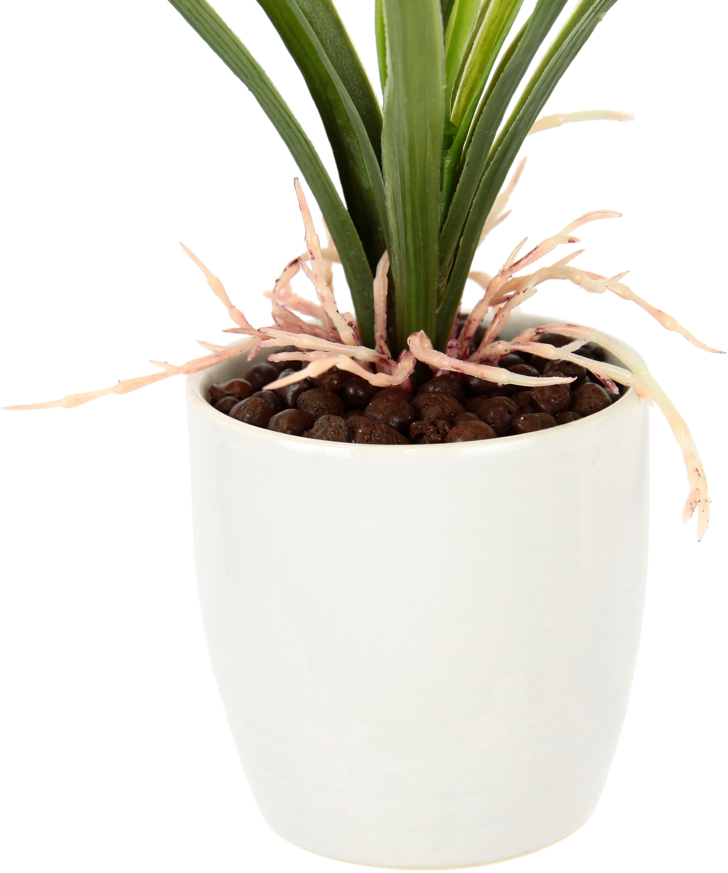 Thumbnail - I.GE.A. Kunstblume "Orchidee" Mit Blätter im Topf aus Keramik Künstliche Blume Cymbidium-Orchidee