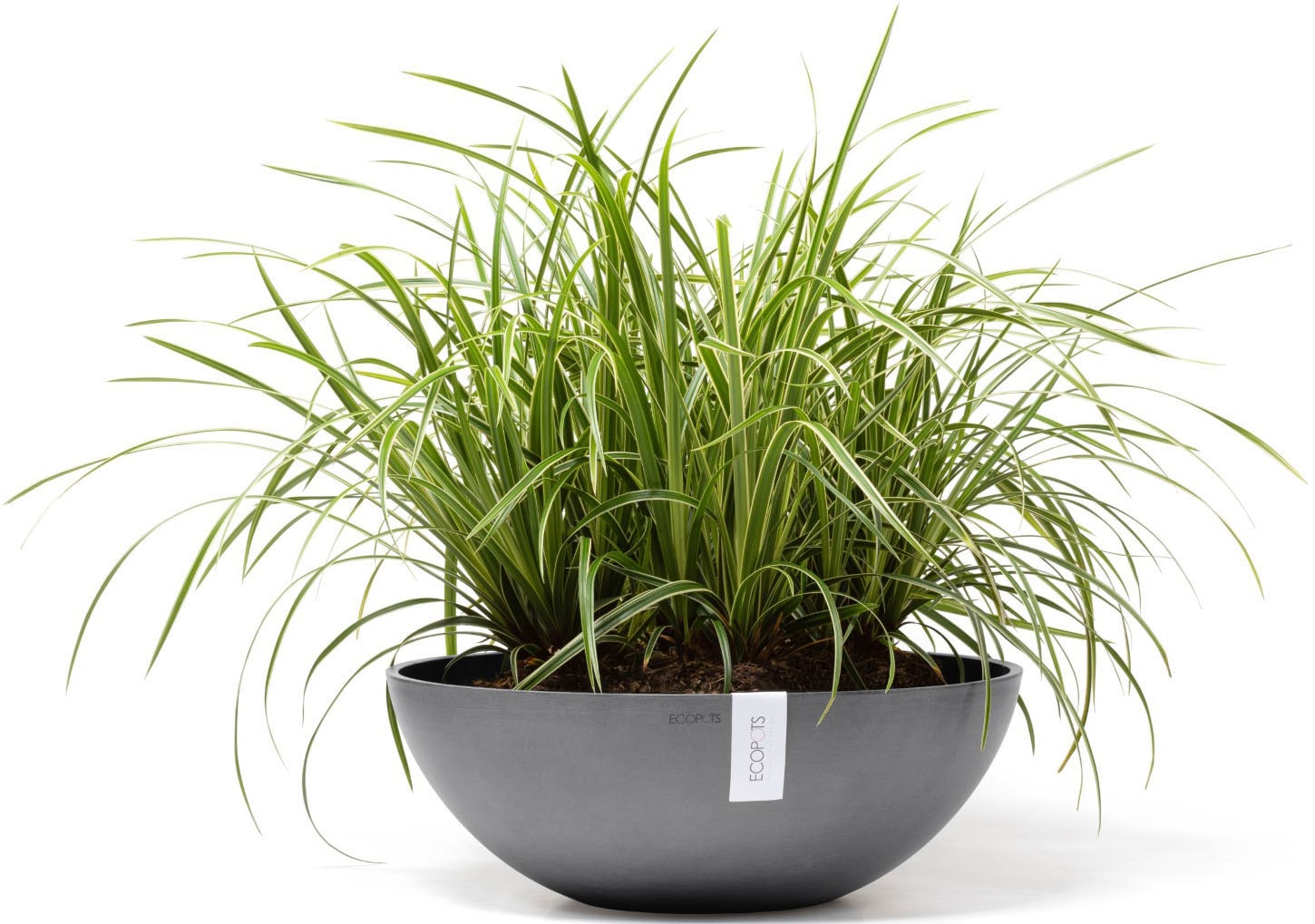 ECOPOTS Blumentopf »VIENNA Grey« BxTxH: 50x50x18 cm