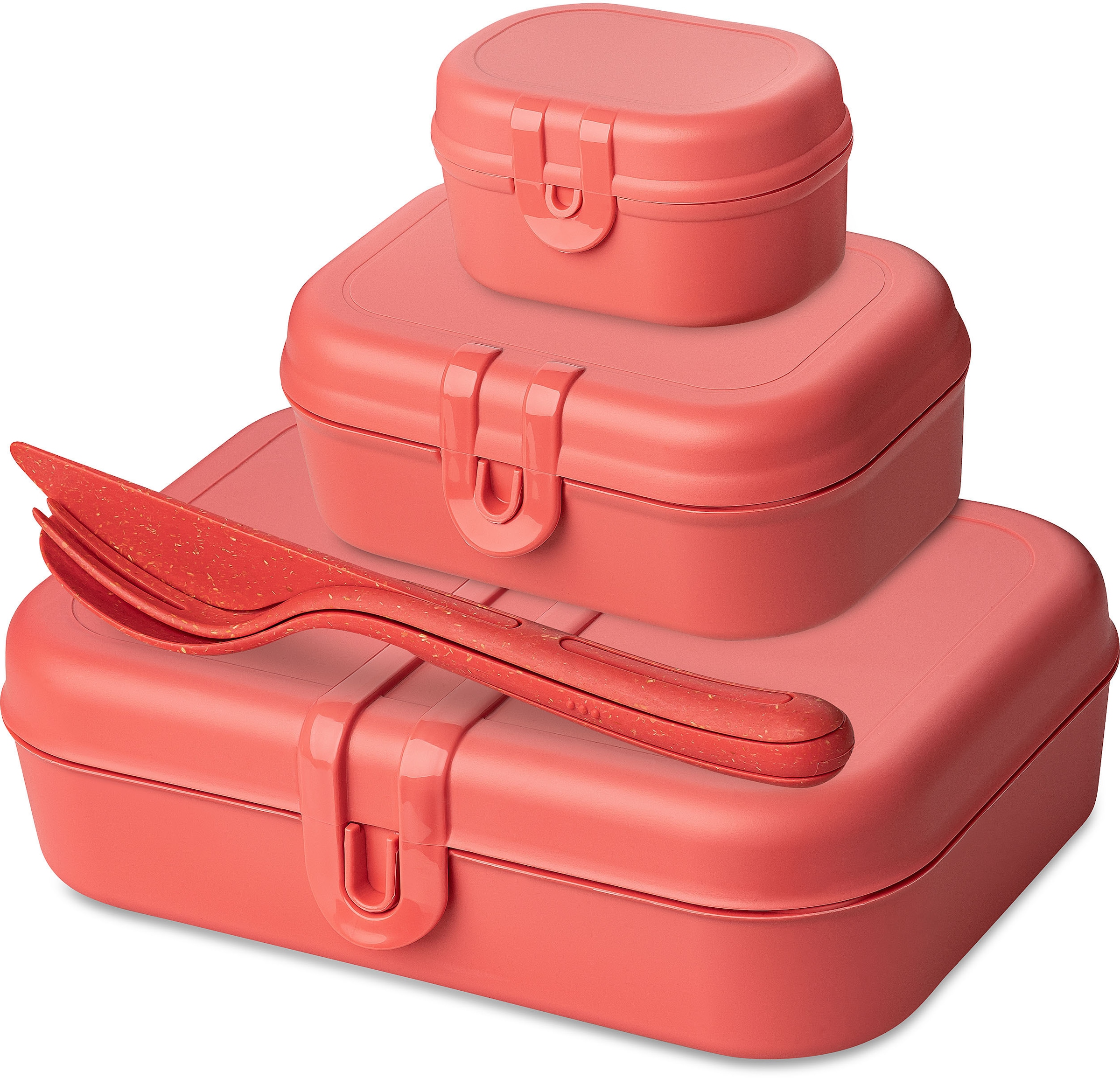 BAUR Rechnung | & Brotdosen auf kaufen ▷ Lunchboxen