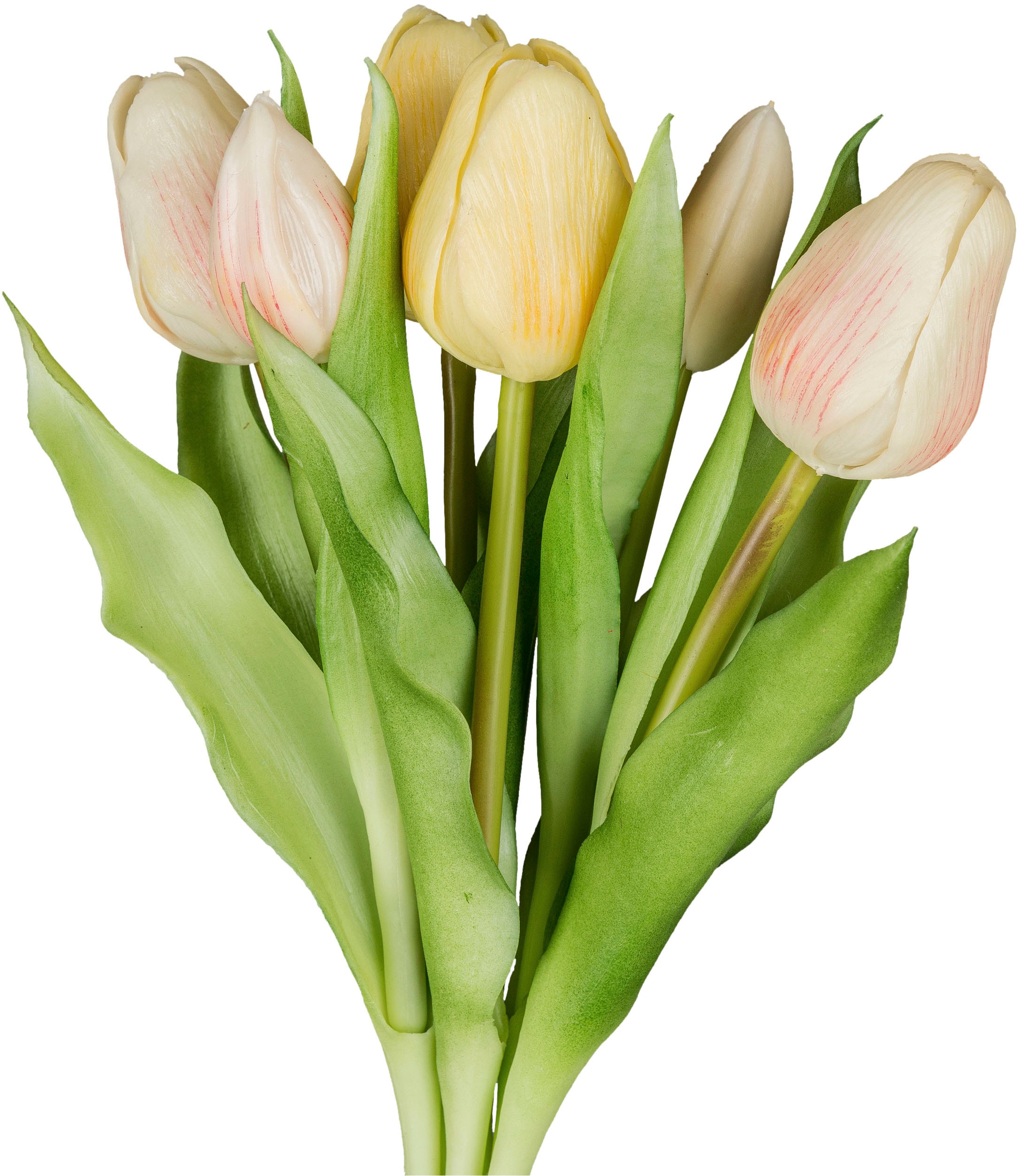 Creativ green Kunsttulpe »Tulpenbund« aus 6 Einzelstielen