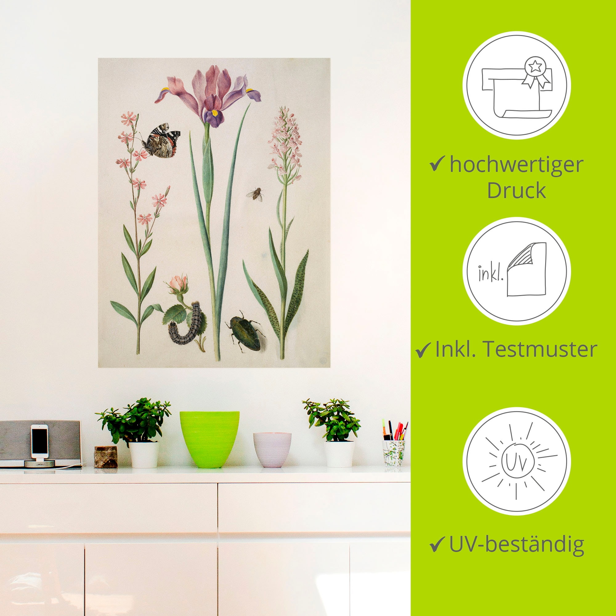 Artland Wandbild »Admiral, Rose Iris Knabenkraut.«, Pflanzen, (1 St.), als Poster, Wandaufkleber in verschied. Größen