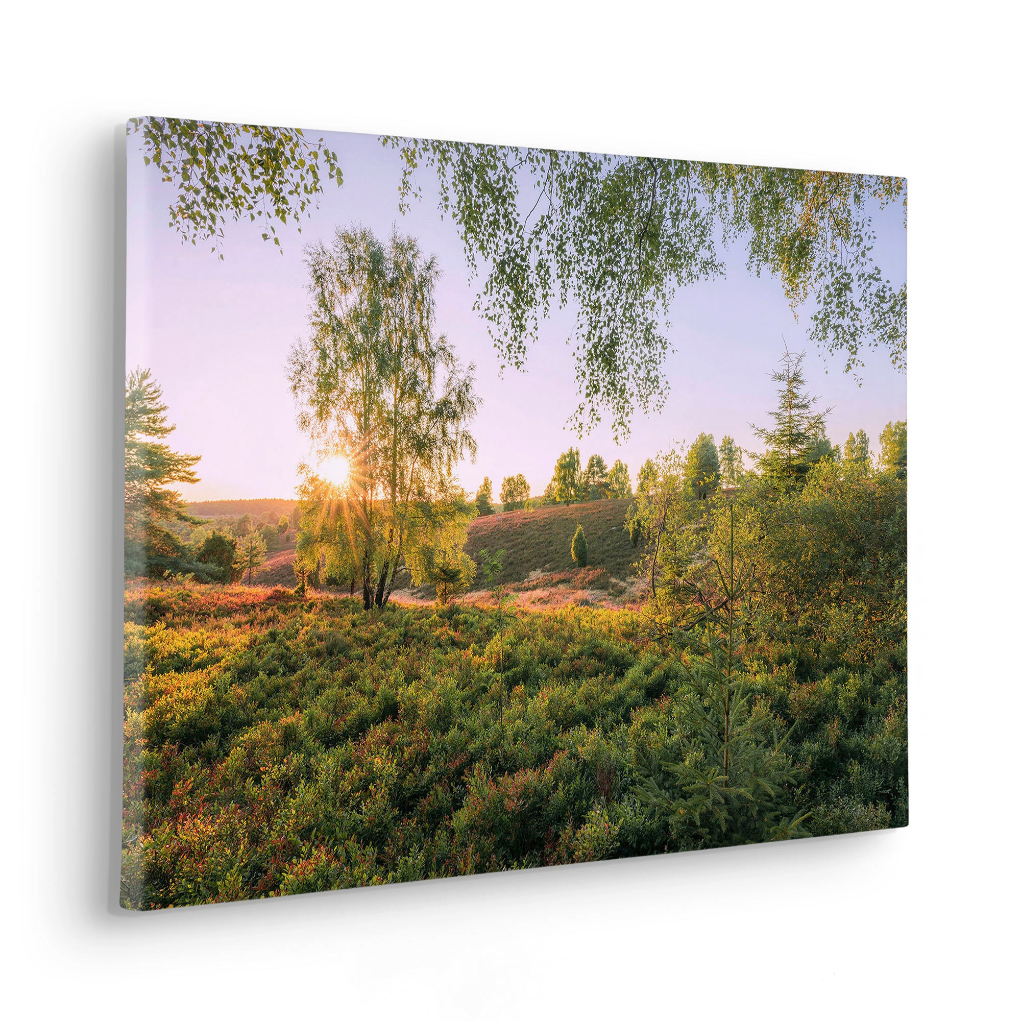 Komar Leinwandbild "Sommerabend - Größe 60 x 40 cm", Baum-Blätter-Natur-Ber günstig online kaufen