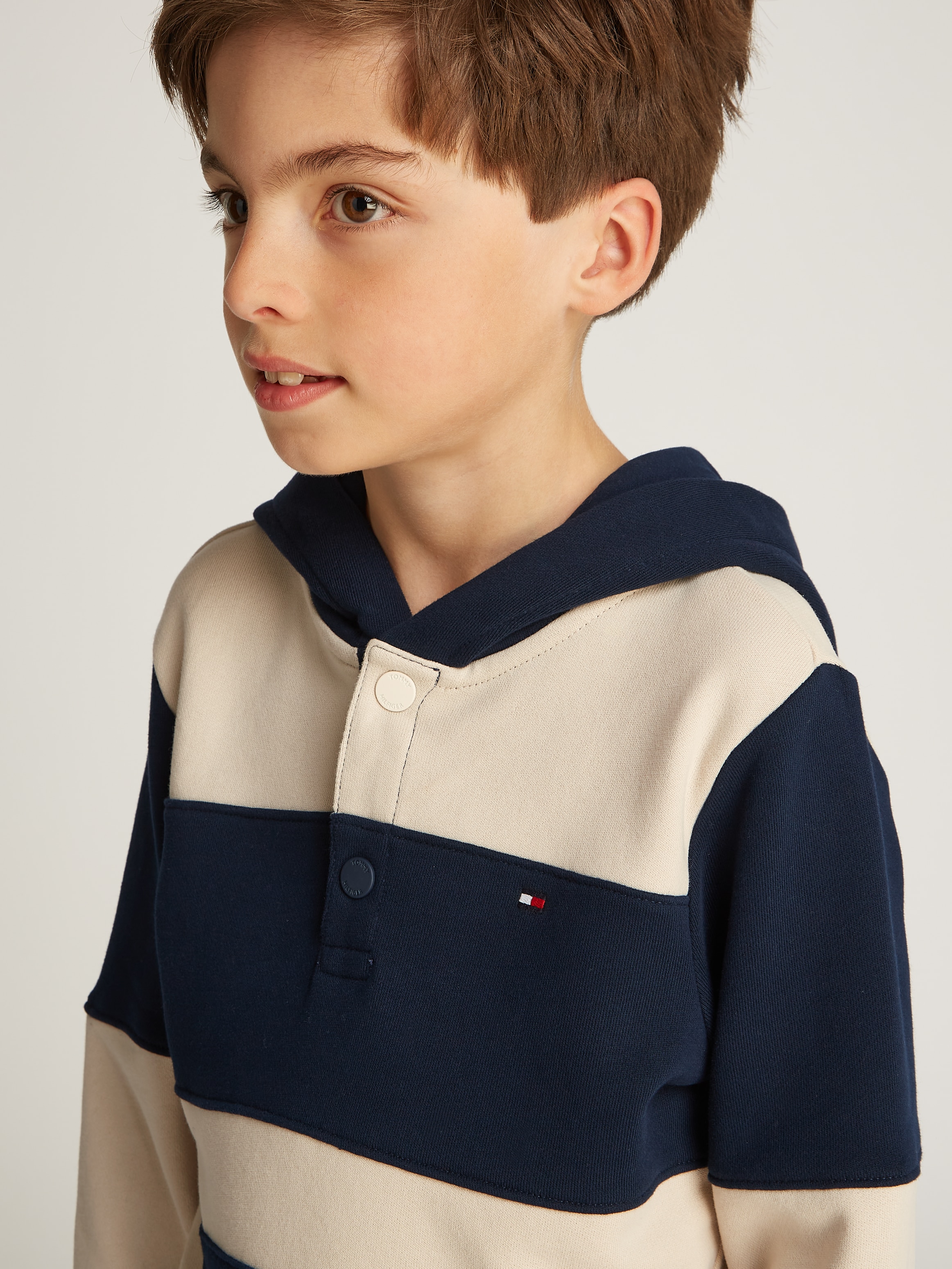 Tommy Hilfiger Kapuzensweatshirt »STRIPED REG HOODIE«, im Streifendesign
