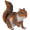 Casa Collection by Jänig Tierfigur »Eichhörnchen, hält Eichel in der rechten Pfote, rot-braun, H 21 cm, B 22 cm«