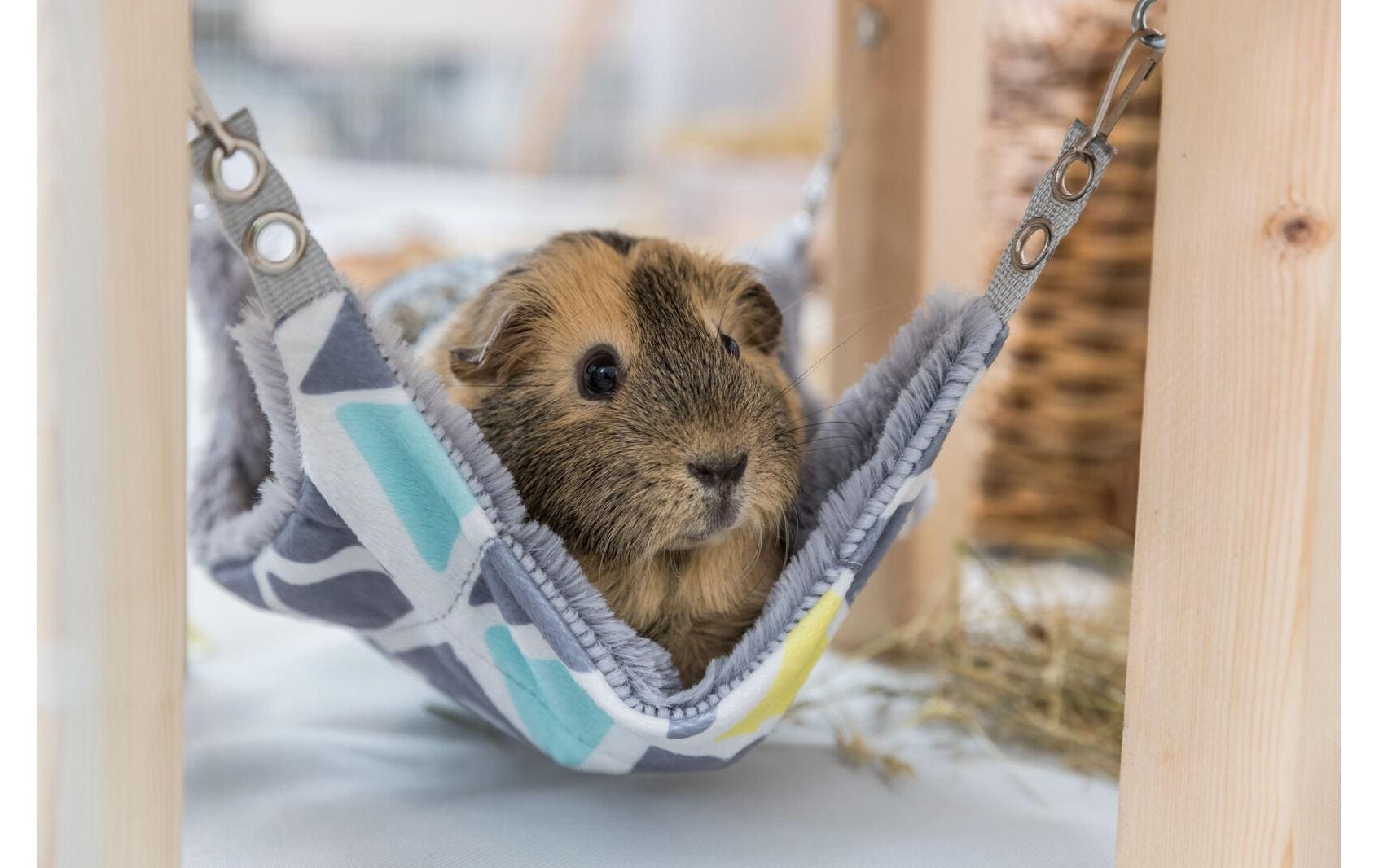 TRIXIE Tierbett »Unterstand mit Hängematte Sunny« Polyester