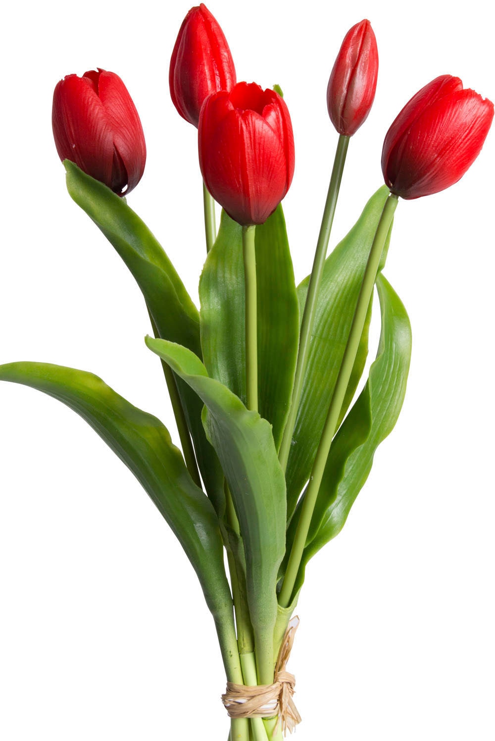 OTTO home Kunstblume "Tulpenbündel Holland real Touch"