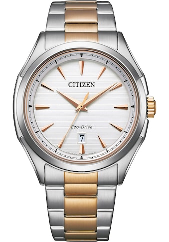 Citizen Solaruhr »AW1756-89A«