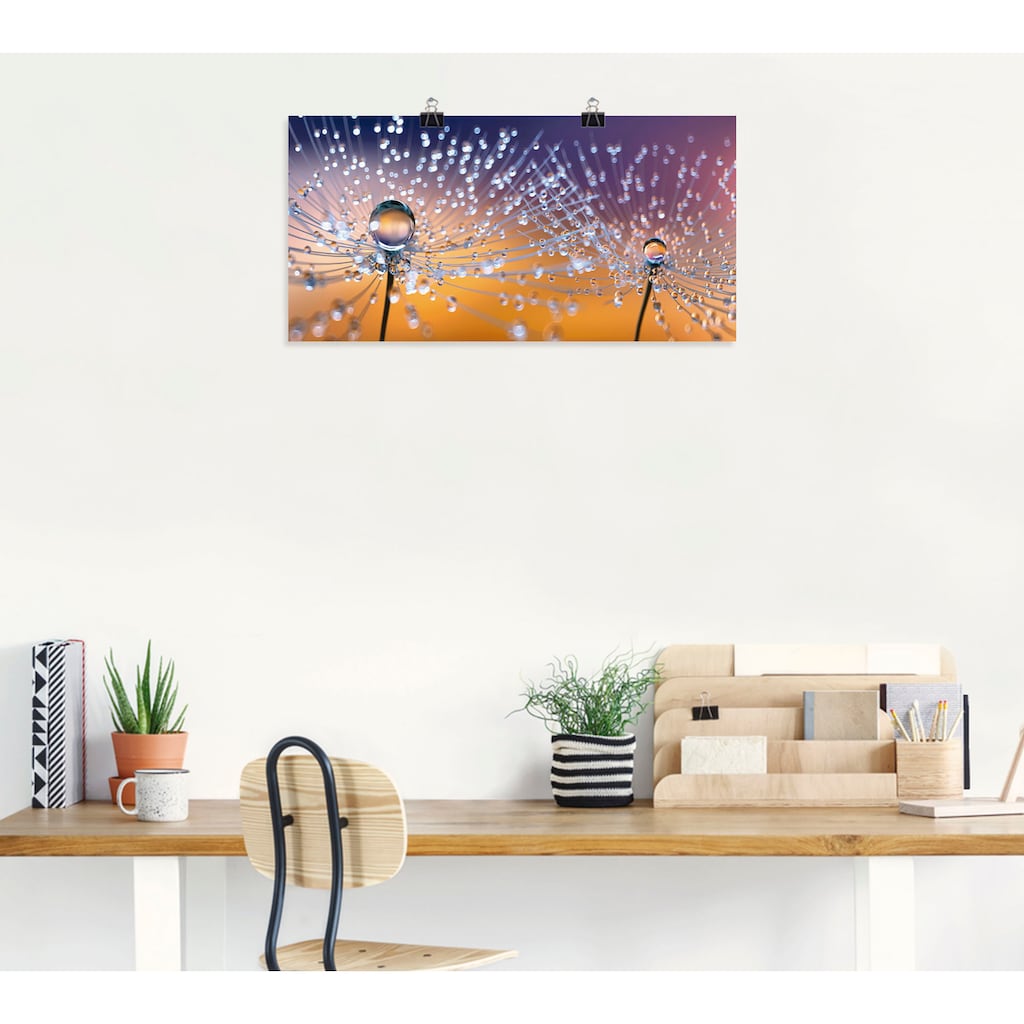 Artland Wandbild »Pusteblumen Tautropfen«, Blumenbilder, (1 St.)