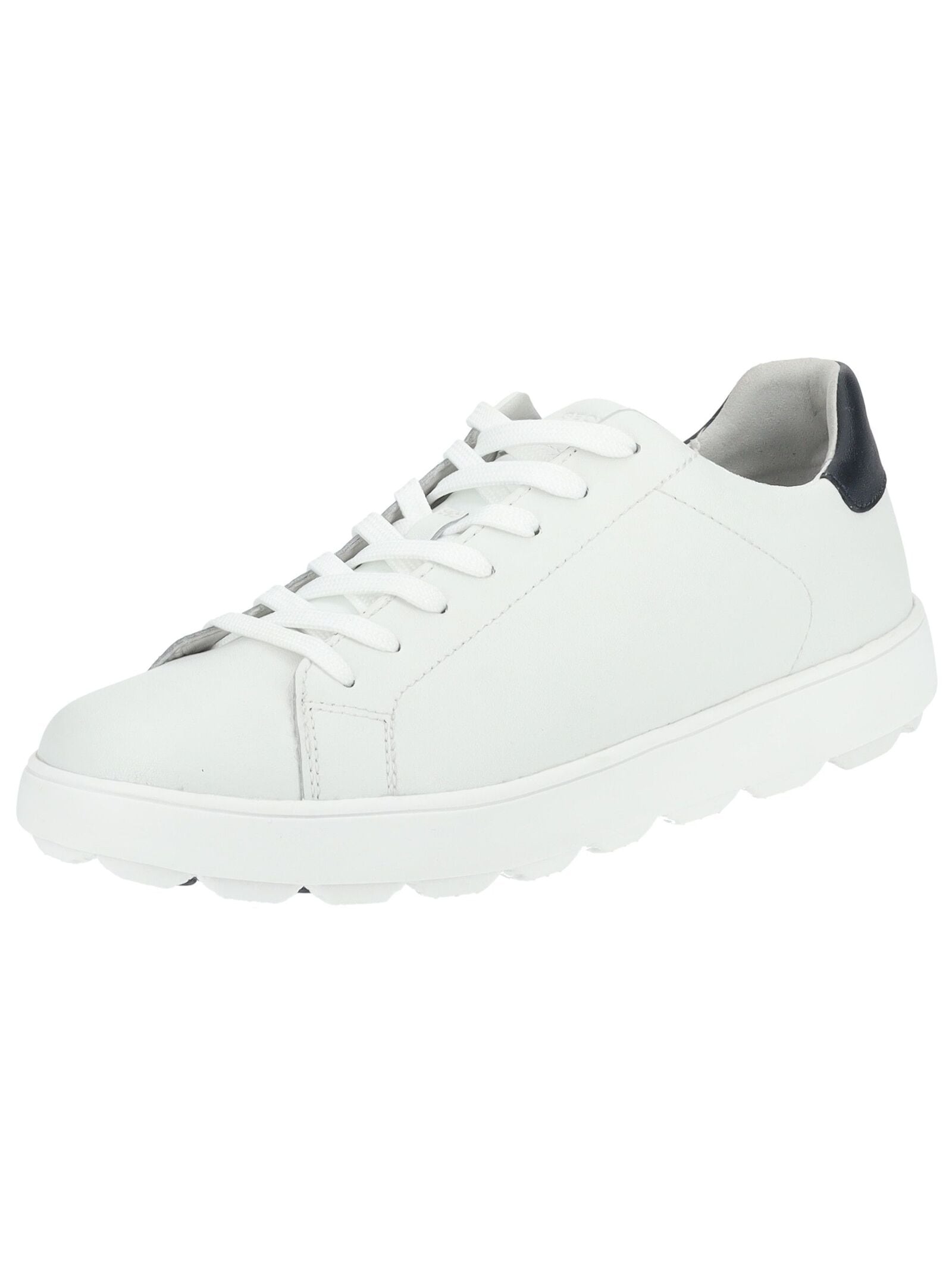 Geox Sneaker "Geox Sneaker Leder/Textil" günstig online kaufen