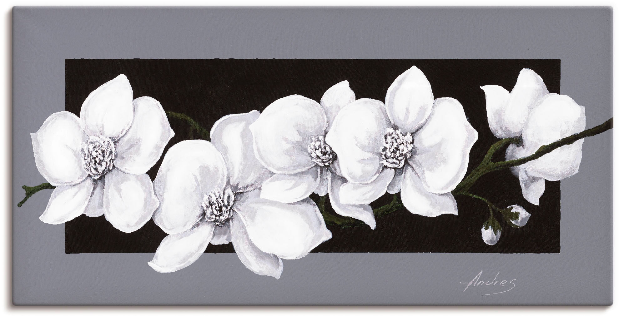 Artland Wandbild »Weiße Orchideen grau«, Größen Poster Wandaufkleber St.), als oder | Blumen, (1 versch. kaufen auf in BAUR Alubild, Leinwandbild