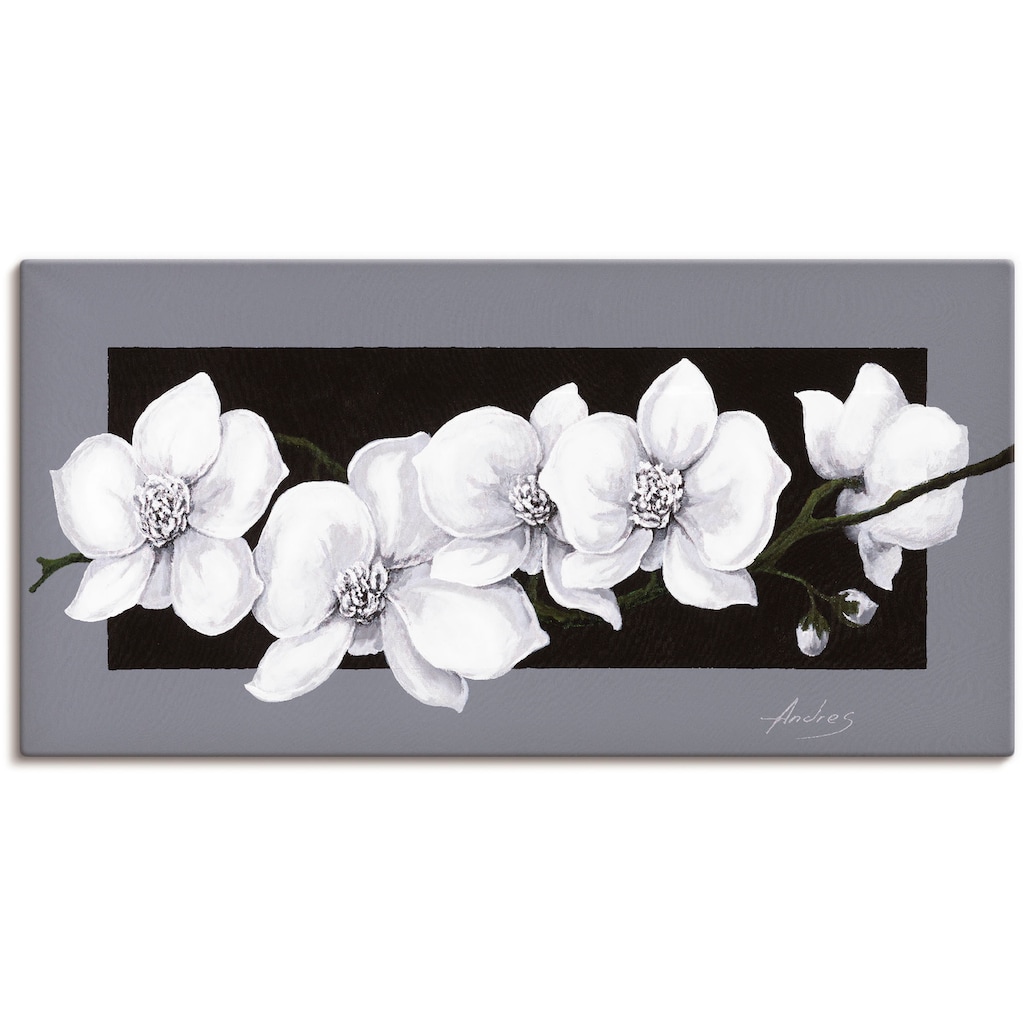 Artland Wandbild »Weiße Orchideen auf grau«, Blumen, (1 St.), als Alubild, Outdoorbild, Leinwandbild, Poster, Wandaufkleber