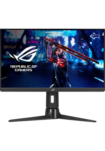 Asus Gaming-Monitor »XG259QN« 62 cm/25 Zoll...