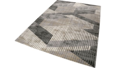 Teppich »Tamo«, rechteckig