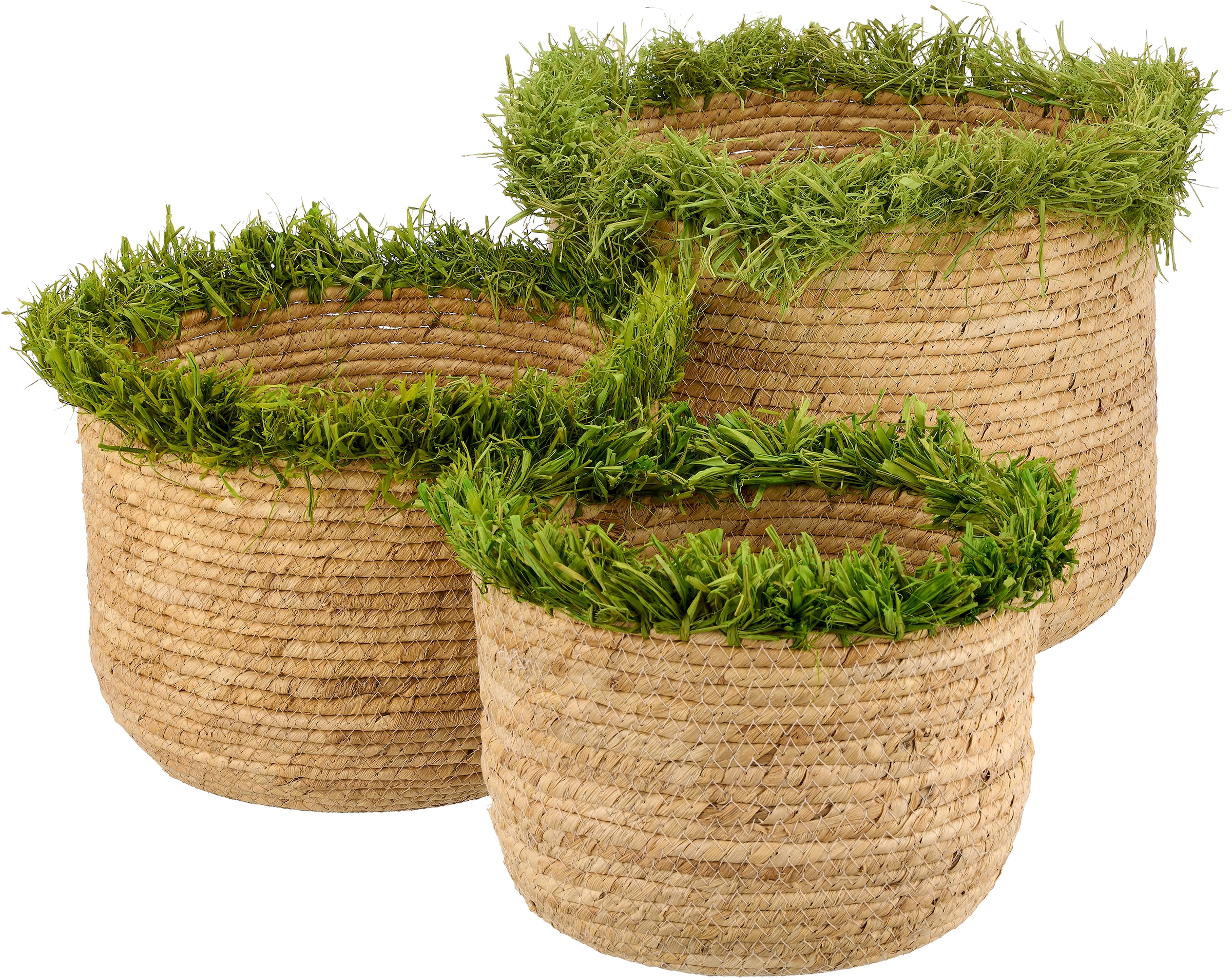 Creativ home Dekokorb "Korb" mit Farbakzent
