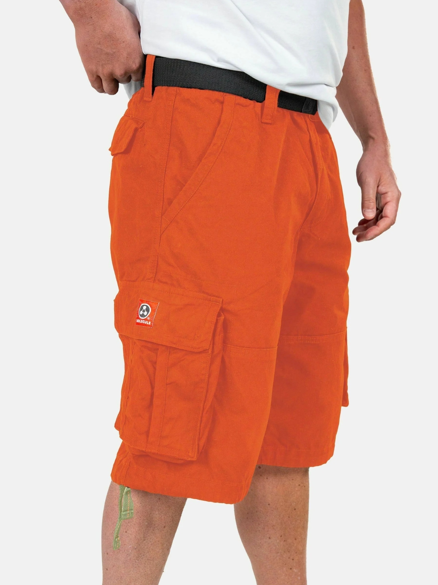 Molecule Cargoshorts »Molecule Cargo Shorts Cyclones«