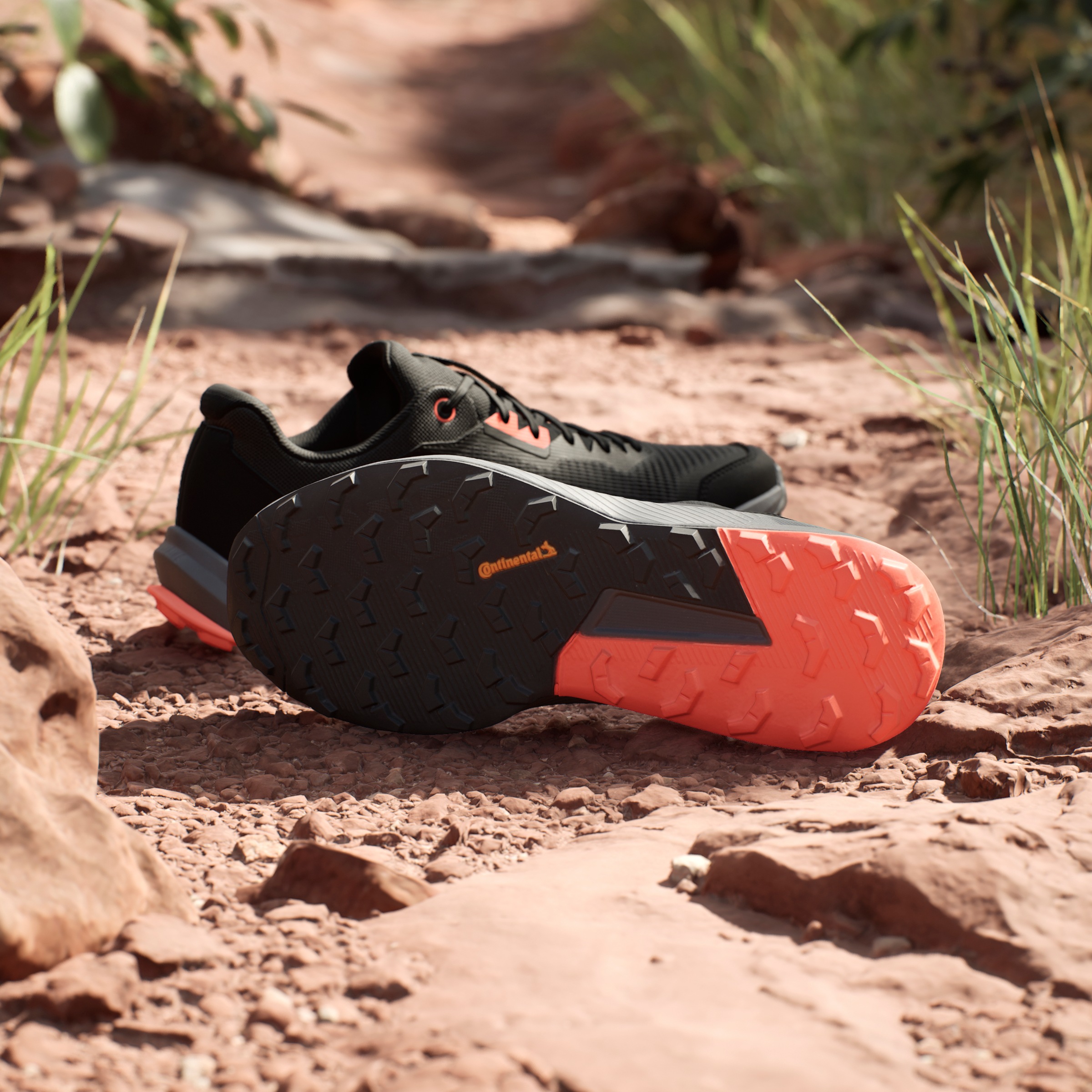 adidas TERREX Laufschuh »TERREX TRAIL RIDER TRAILRUNNING«