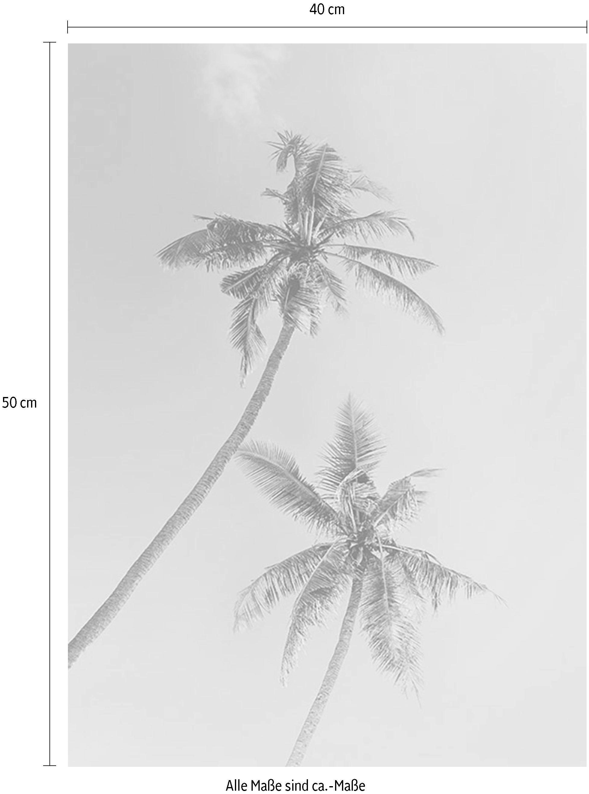 Komar Bild »Miami Palms«, Pflanzen-Blätter, (1 St.), Wandbild zur Dekoration - ohne Rahmen