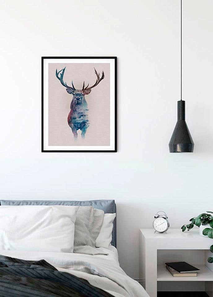 Komar Bild »Animals Forest Deer«, Tiere, (1 St.), Wandbild zur Dekoration - ohne Rahmen