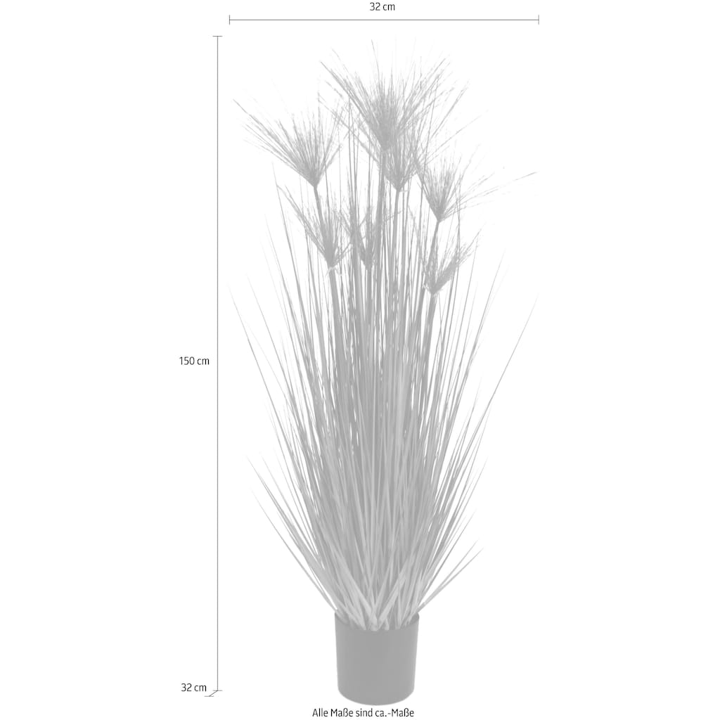 I.GE.A. Kunstpflanze »Zyperngras im Topf«