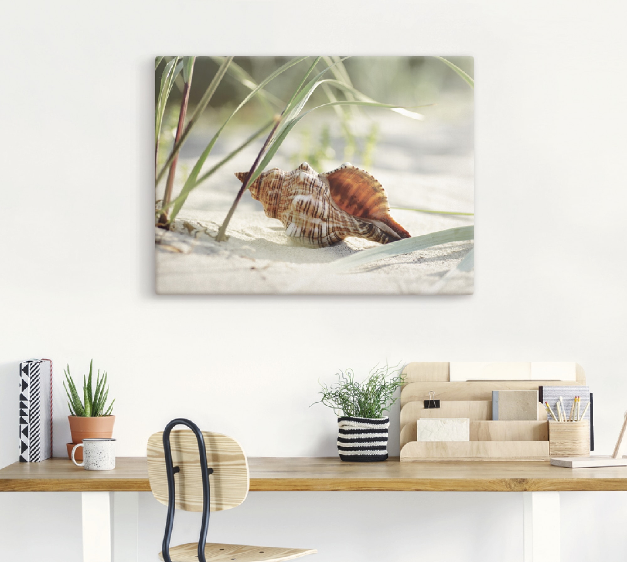 Artland Wandbild »Große Muschel am Strand«, Wassertiere, (1 St.), als Leinwandbild, Poster, Wandaufkleber in verschied. Größen