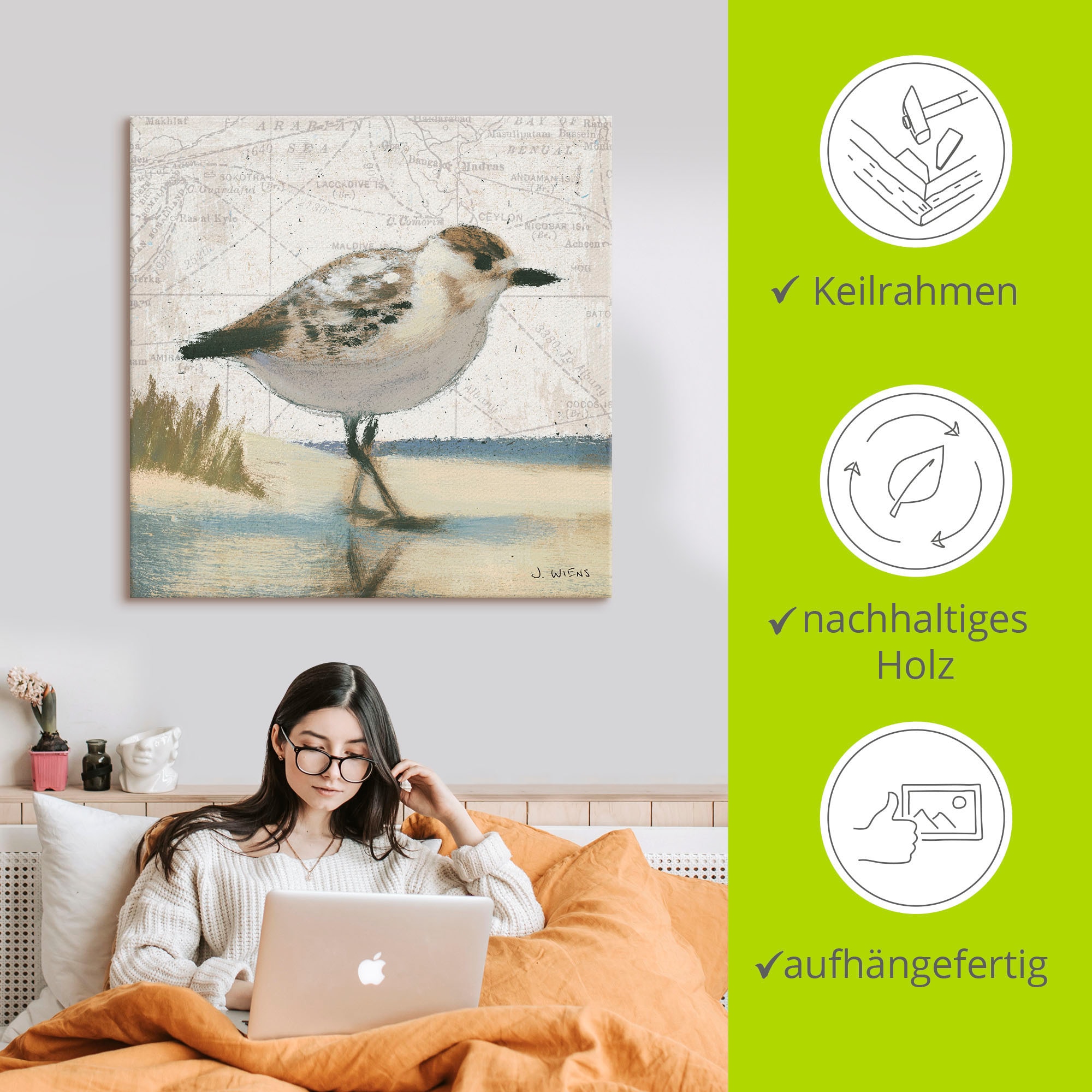 Artland Wandbild »Möwe I«, Vögel, (1 St.), als Leinwandbild, Wandaufkleber in verschied. Größen