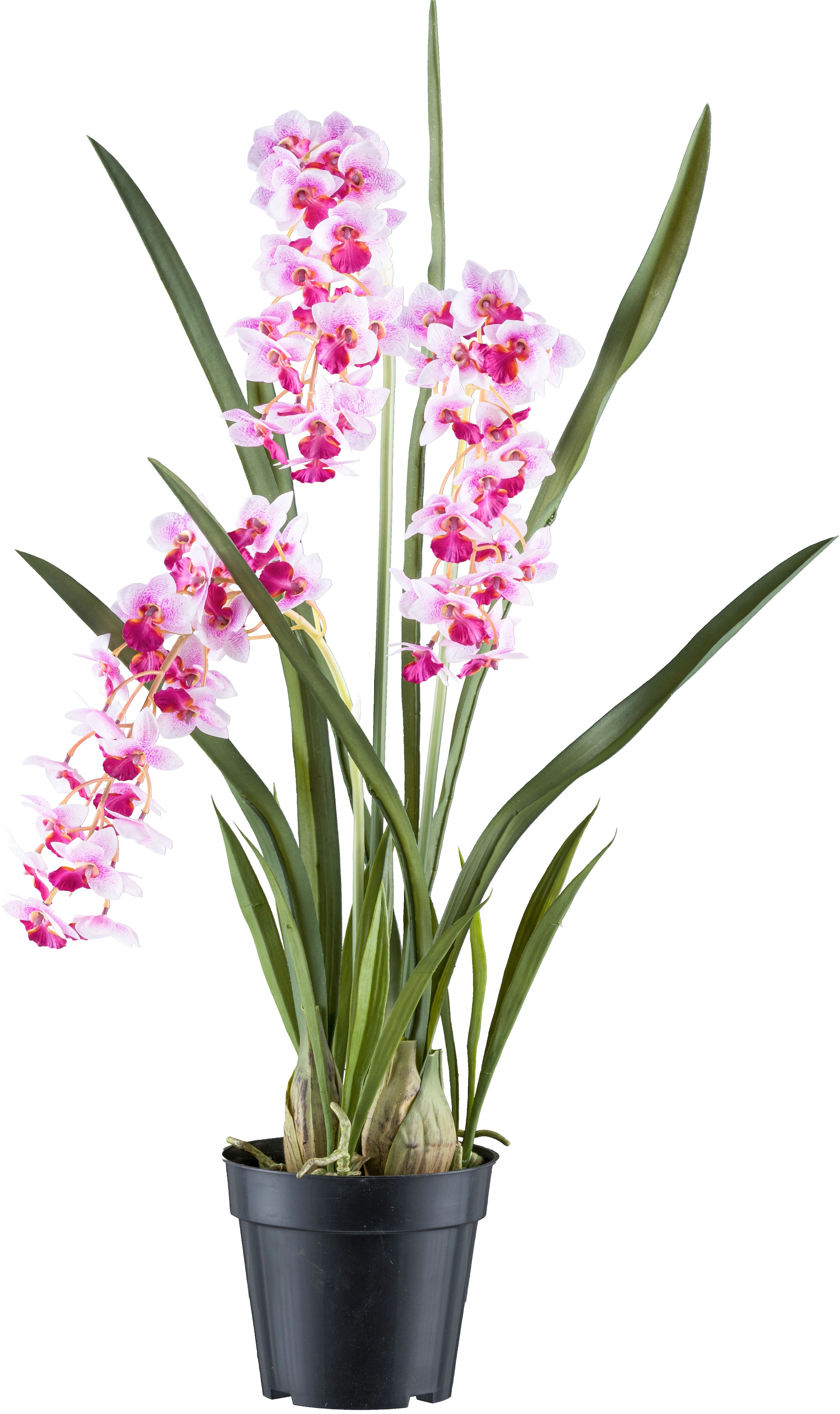 Creativ green Kunstorchidee "Orchidee Cymbidie orientalis", mit zahlreichen real-touch-Blüten